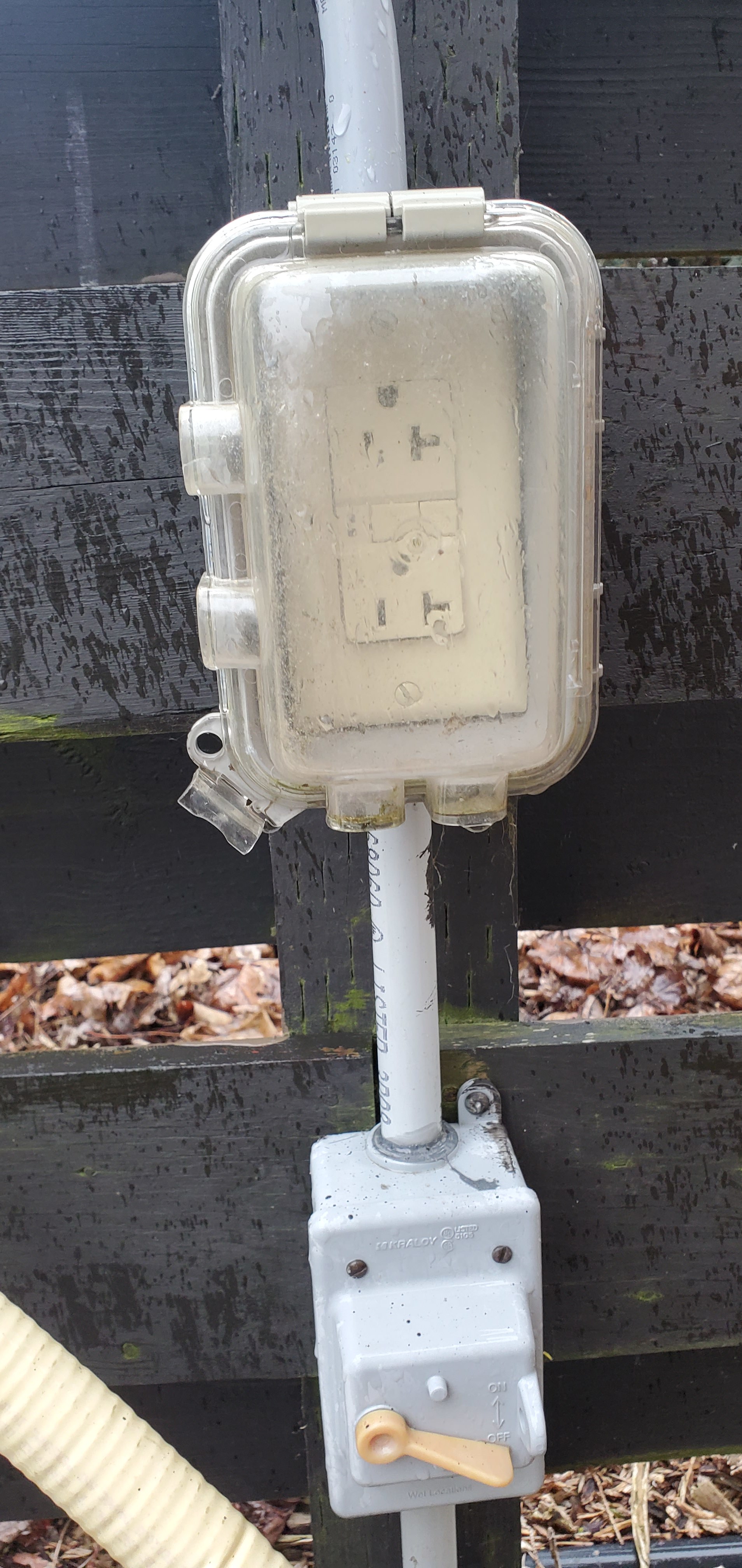 The Wine And Warbler