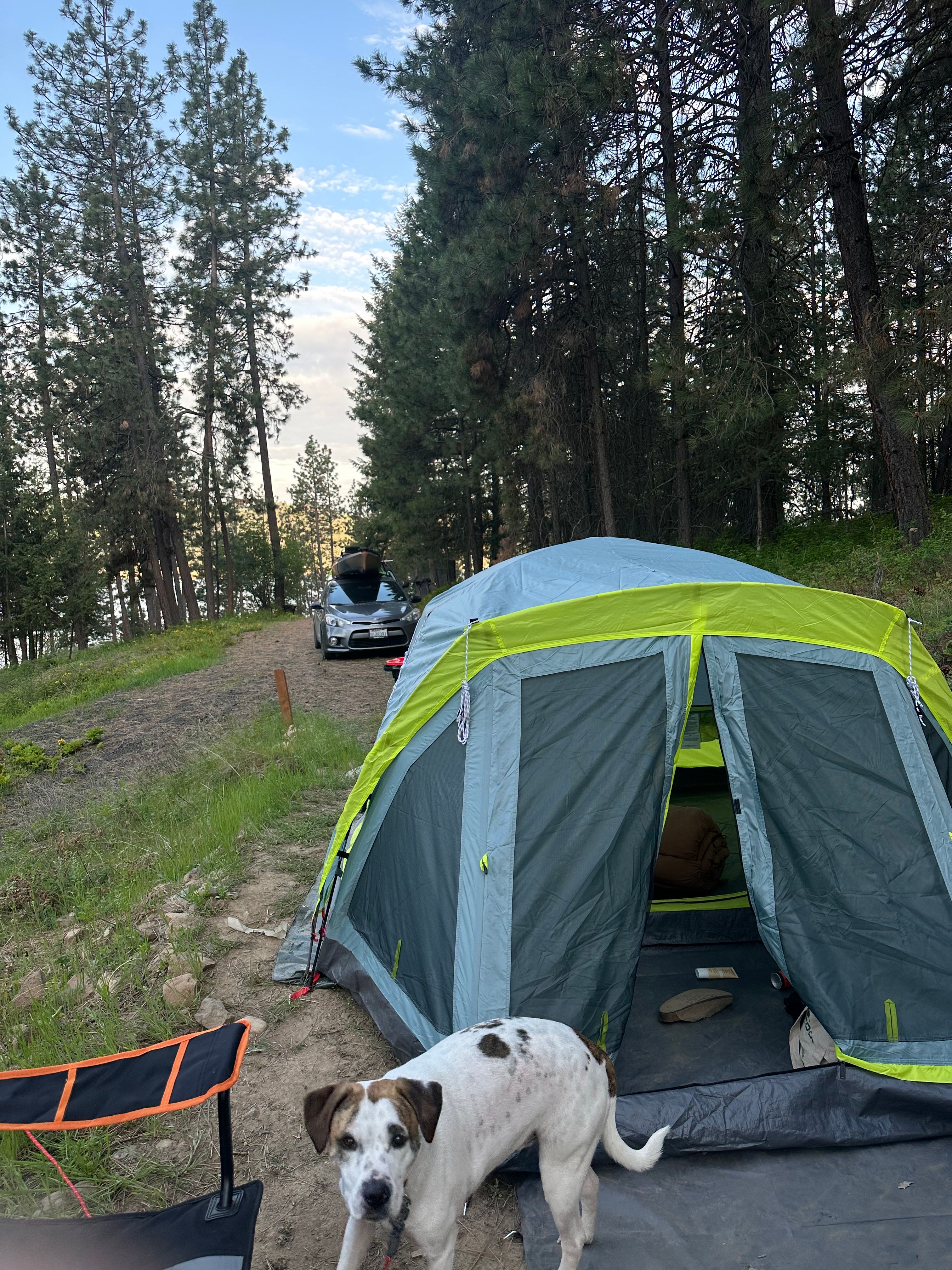 Harrison Bluffs Campground