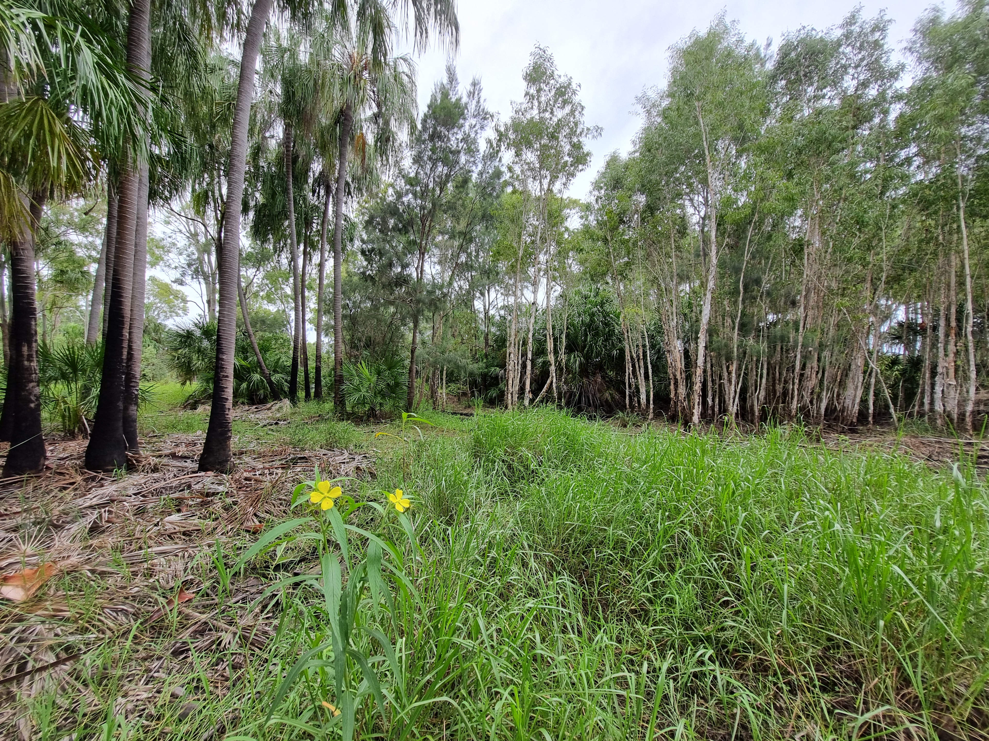 Jorassic Park (Clothing optional)