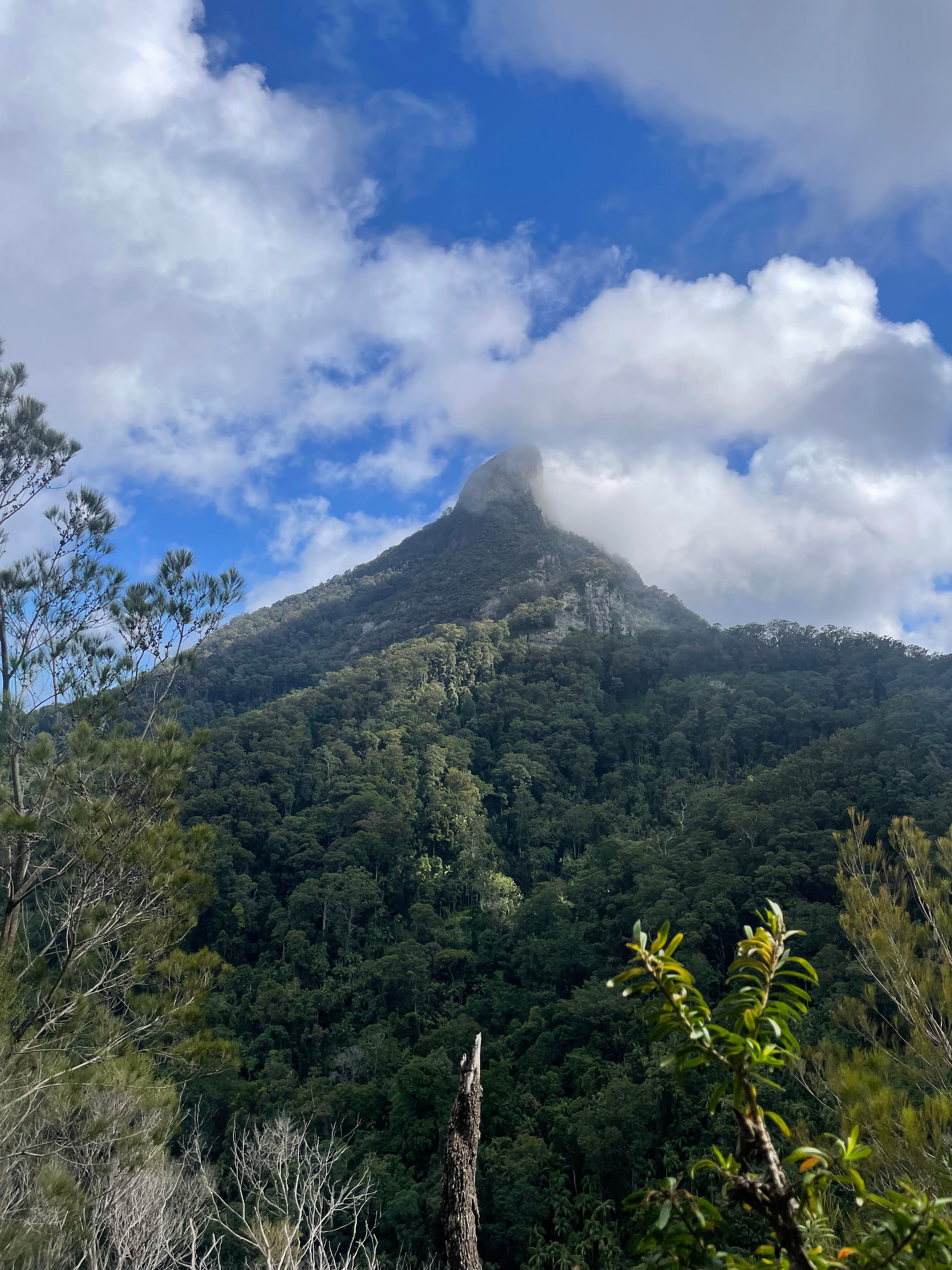 Magic of Mt Warning