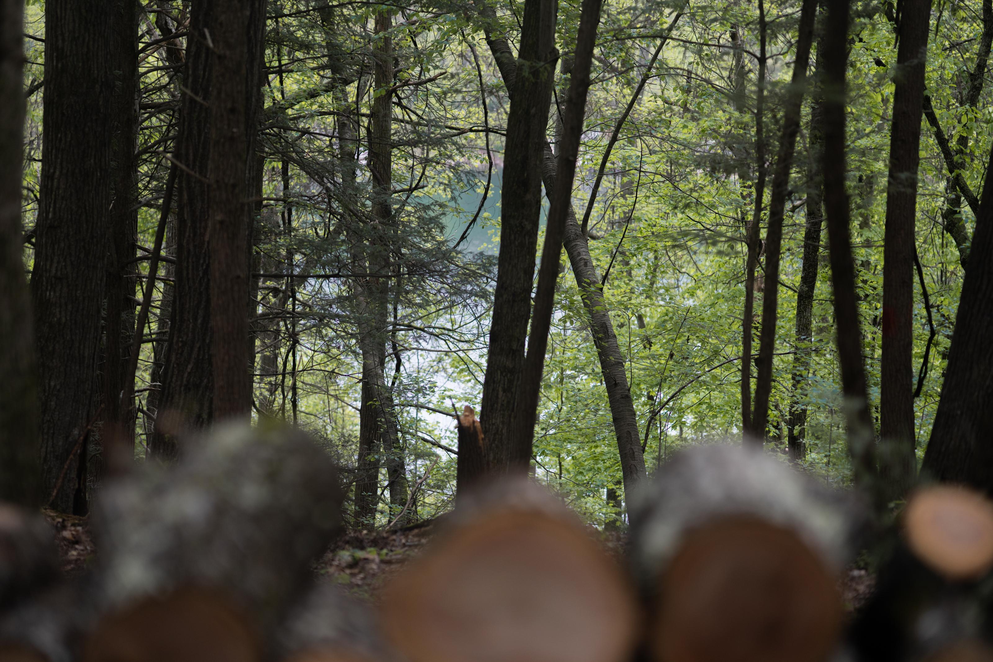 Lake access is just minutes down the road! Drive 1 minute to Summersville Dam for a beautiful sunset. 