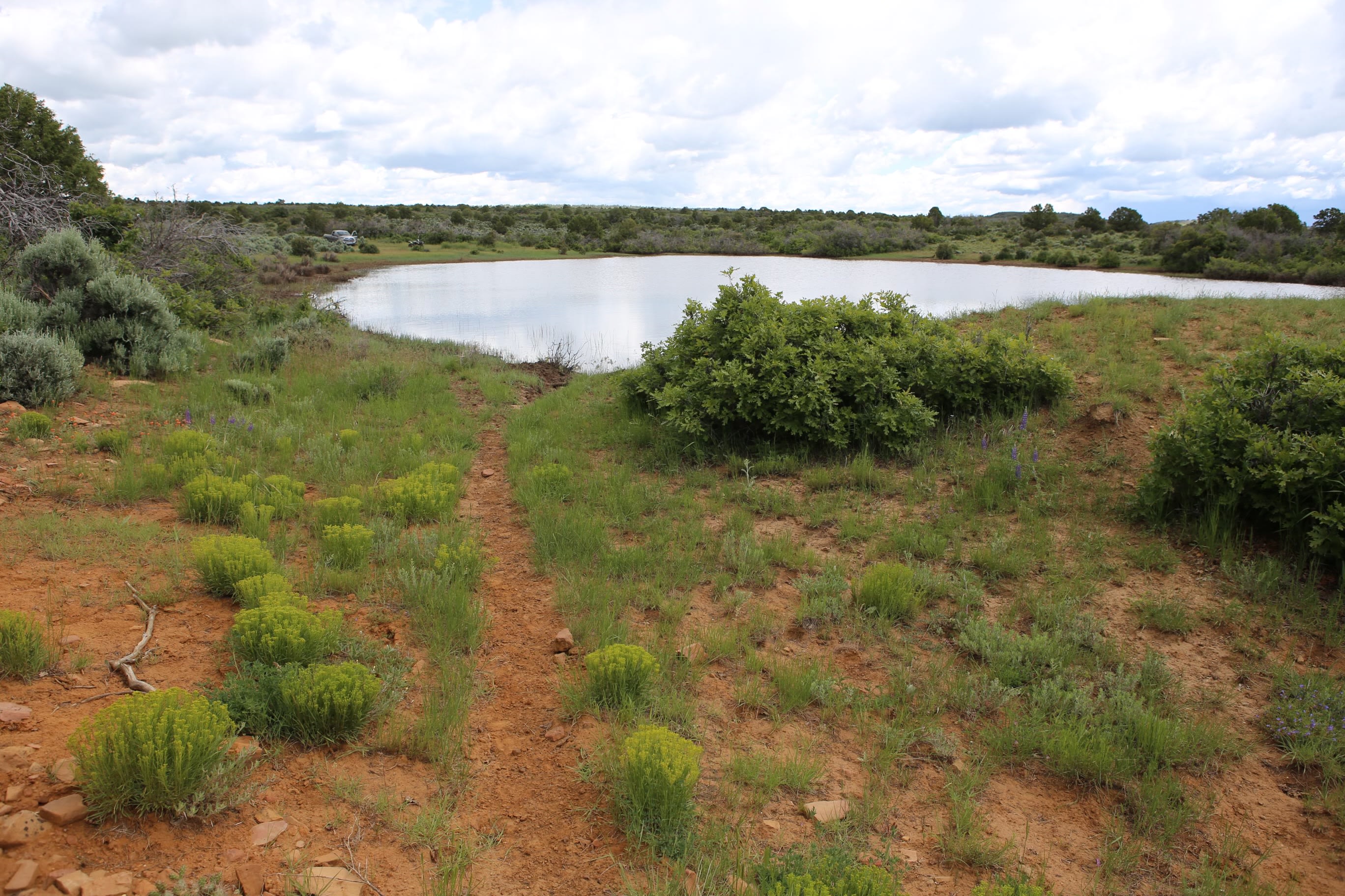 Dolores River Rim Camp