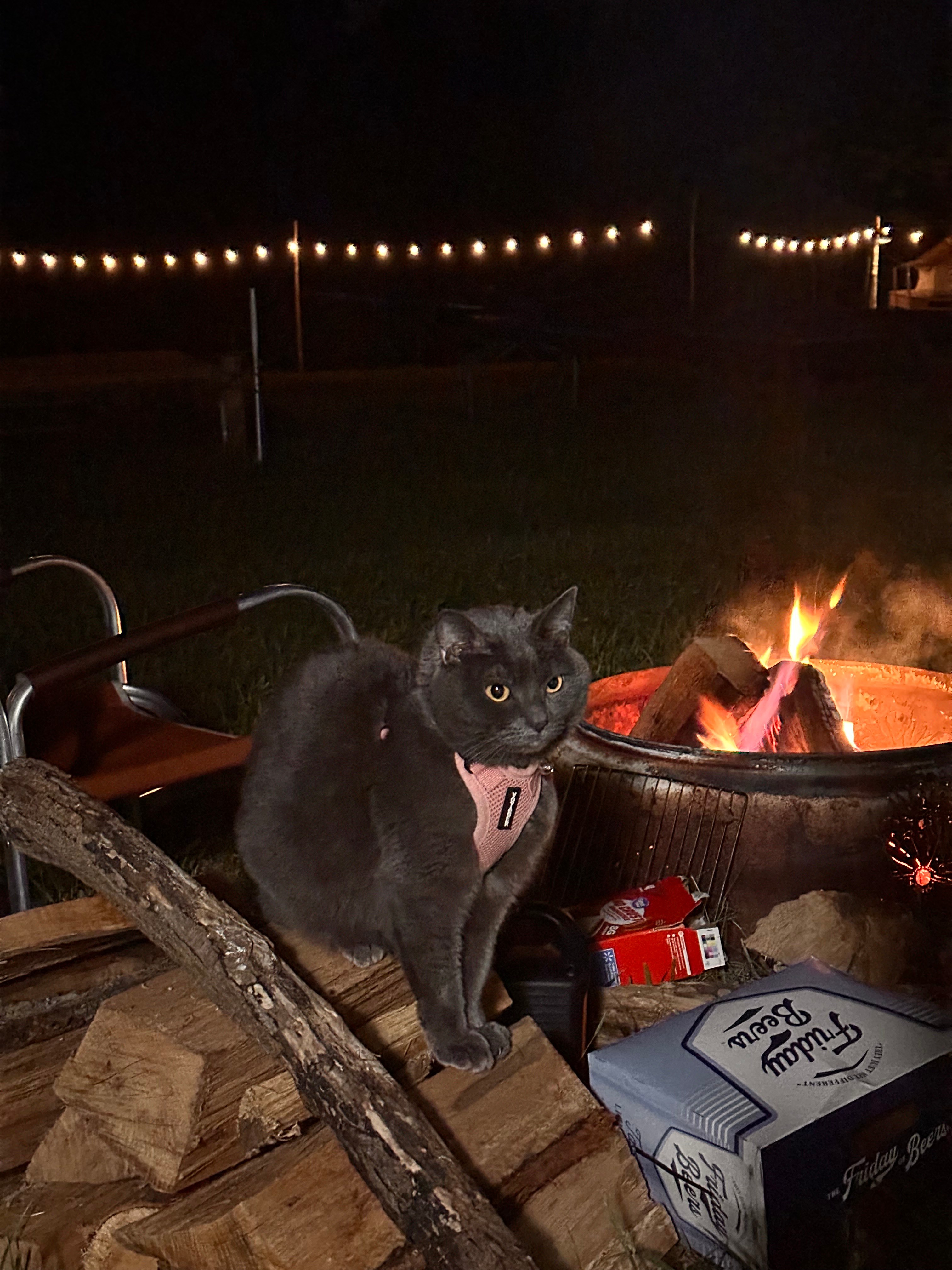 Mountain Farm Camping & Glamping