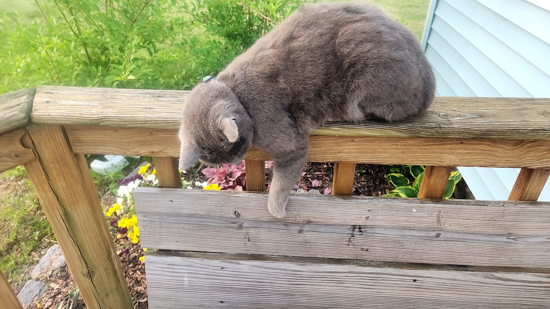 Peace And Quiet  in the Catskills