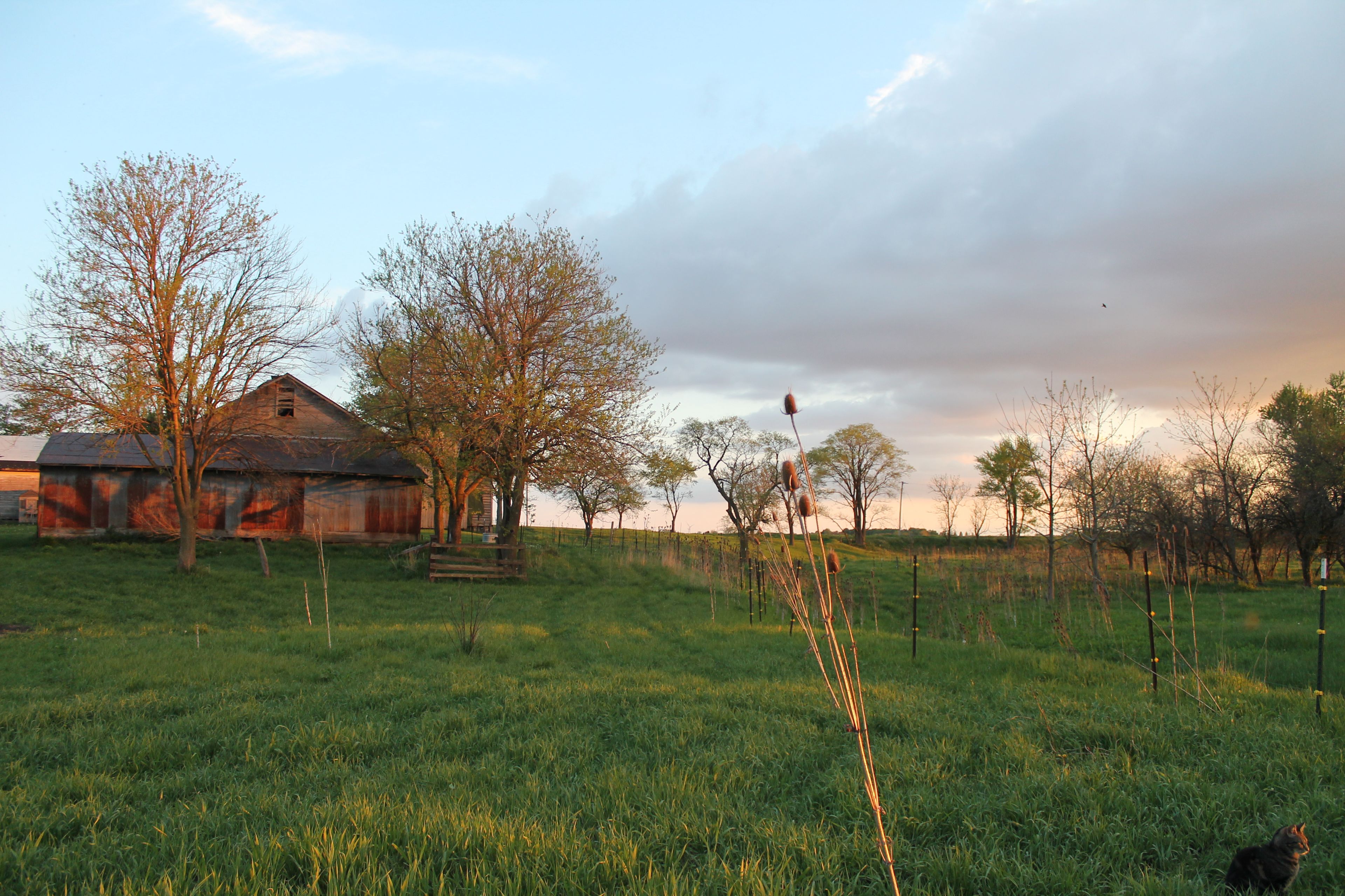 Historic Route 66 Hideaway