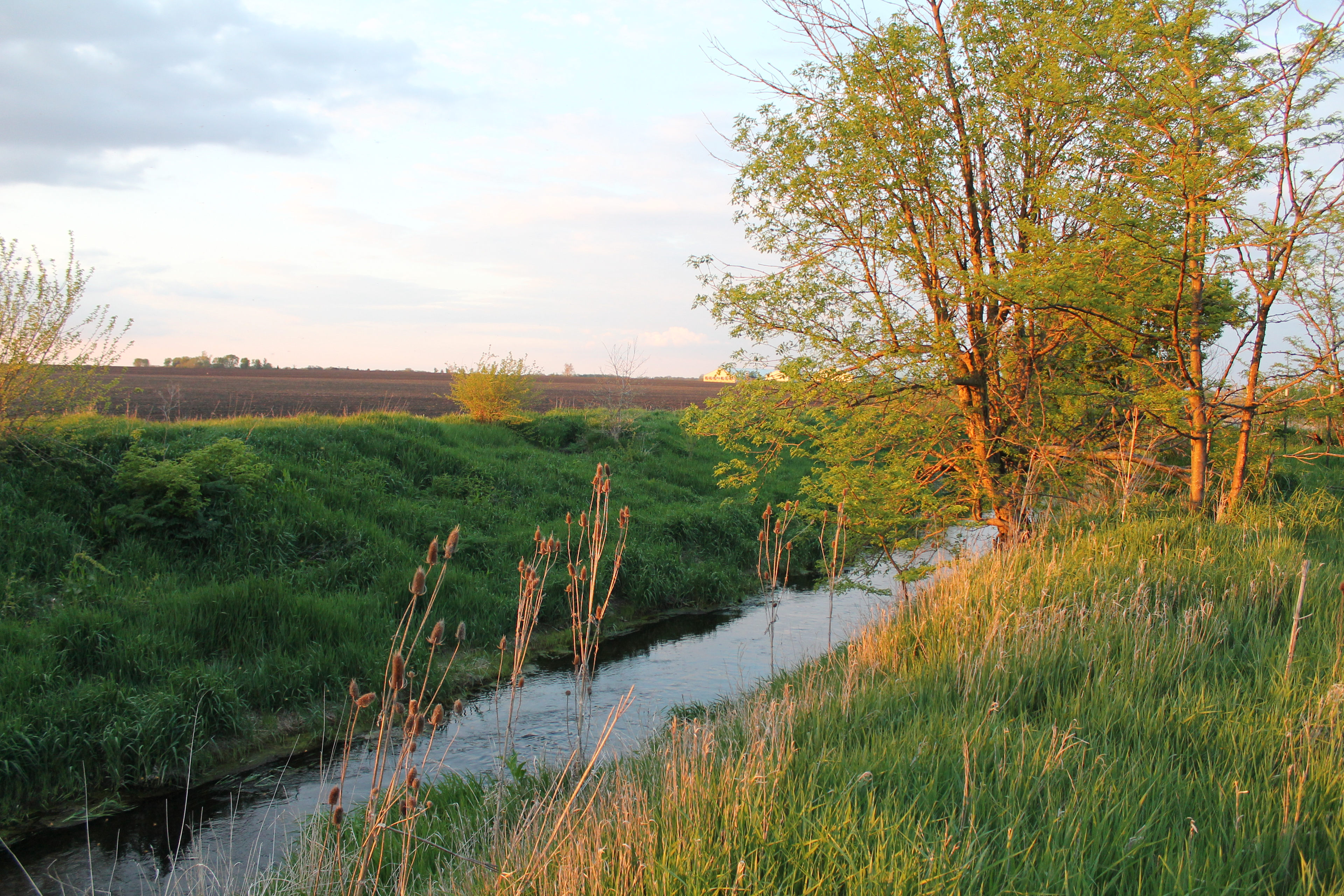 Historic Route 66 Hideaway