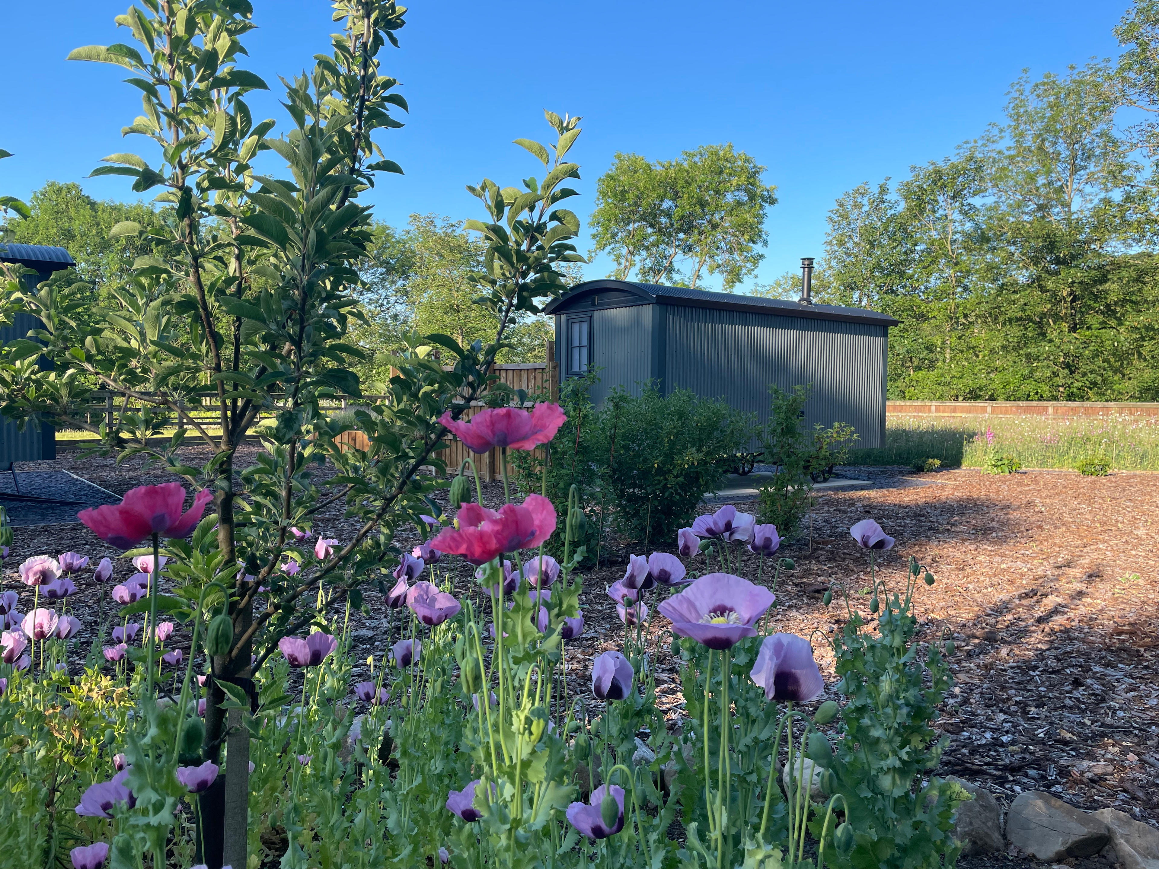 Settledown Shepherds Huts