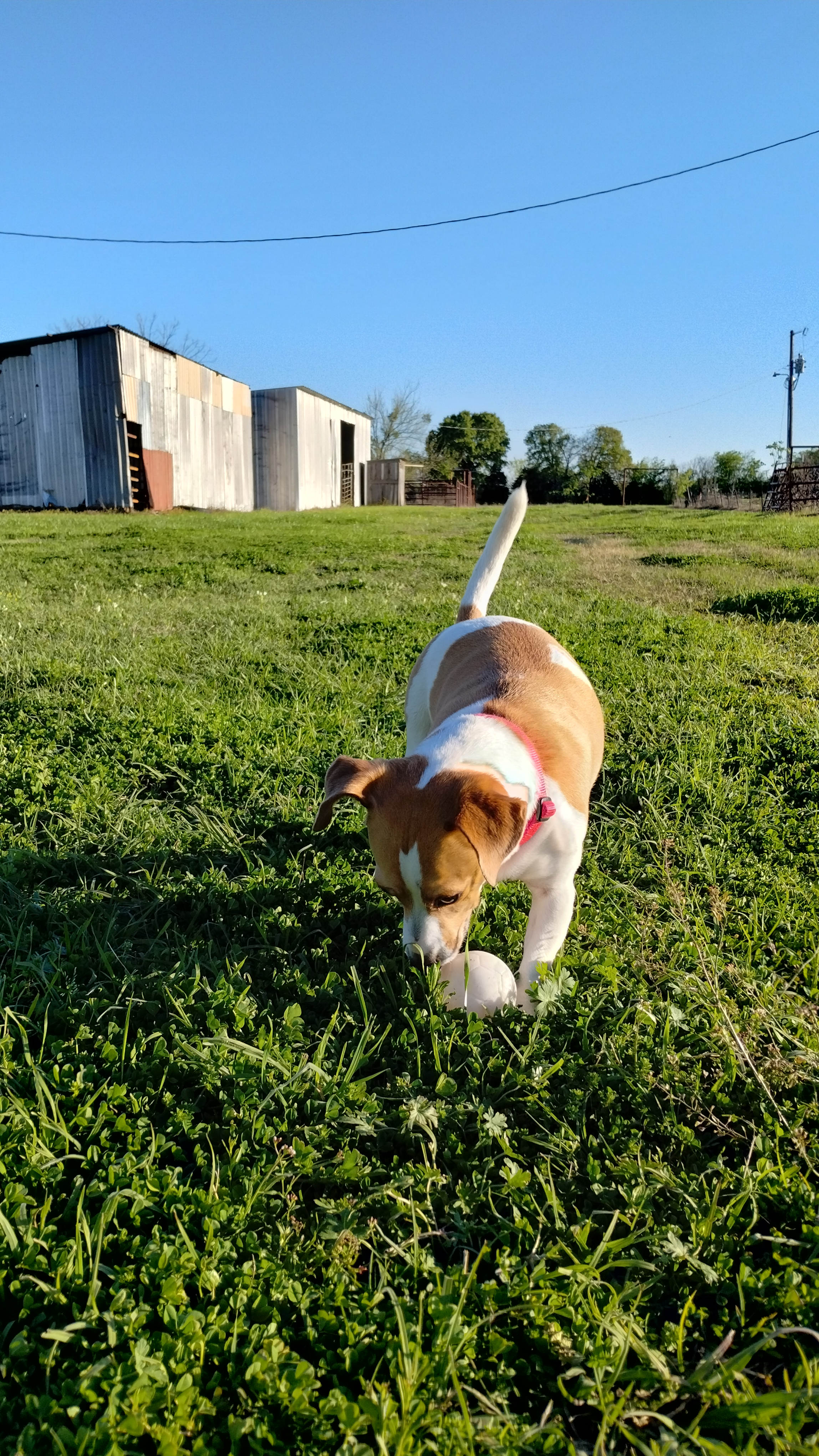 Summer Breeze RV Park