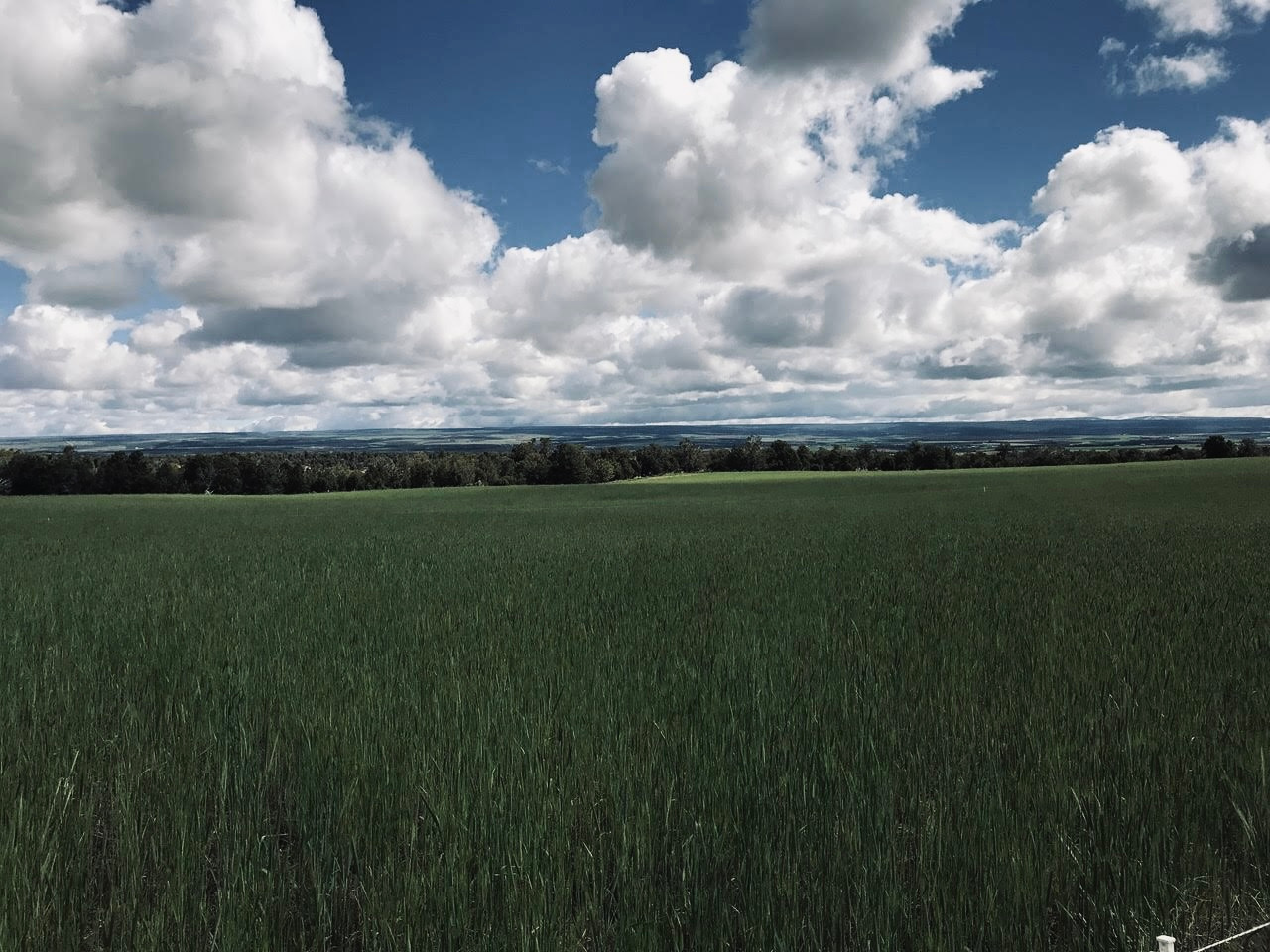 A Pleasant View
