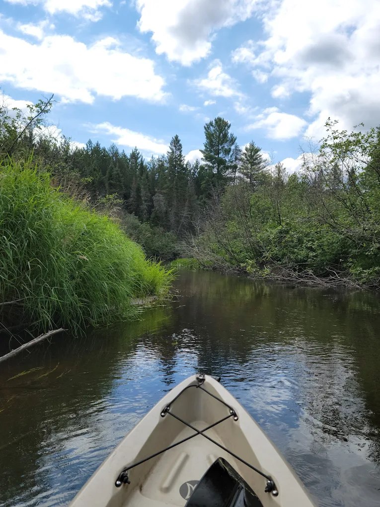 Rohrs Wilderness Tours