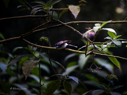 Jessria Shalom Nature Farm