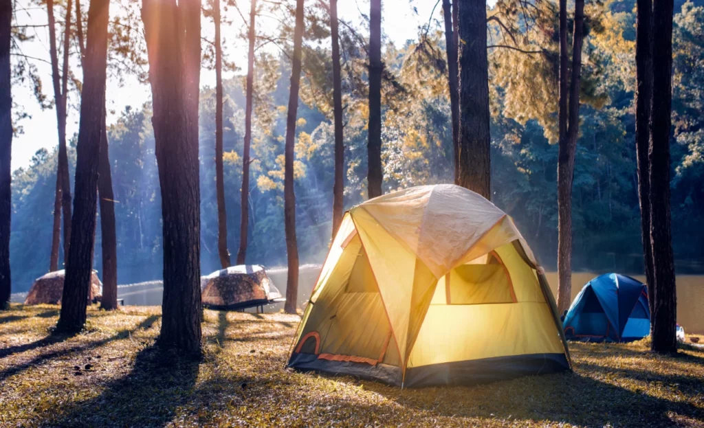 Binghamton Bear Campground