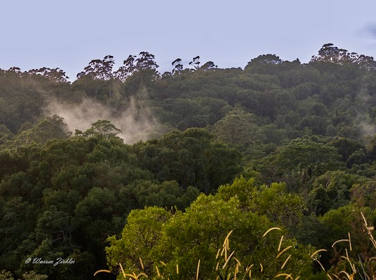 Jessria Shalom Nature Bush Camp