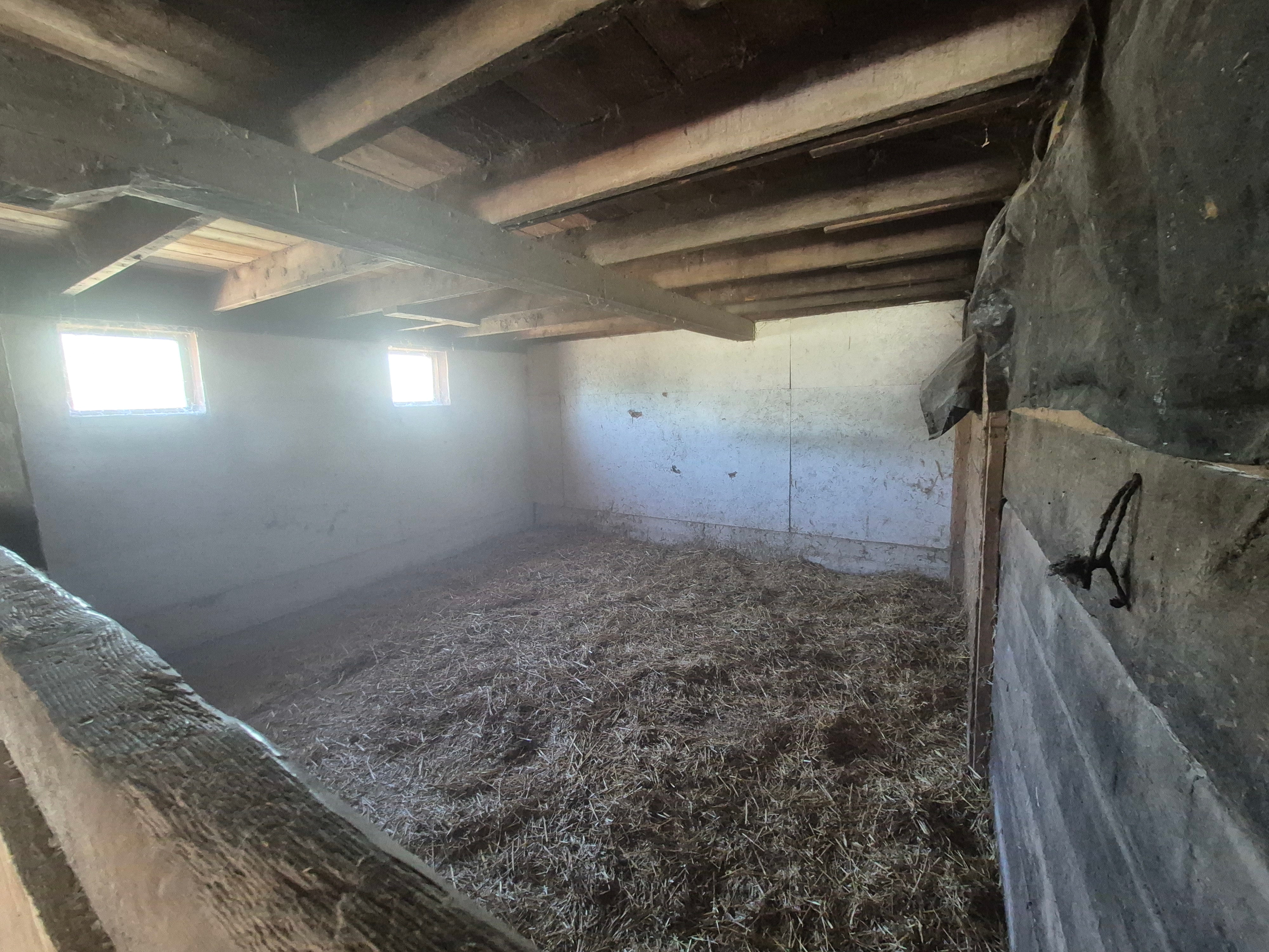 Where the Wild Things Are