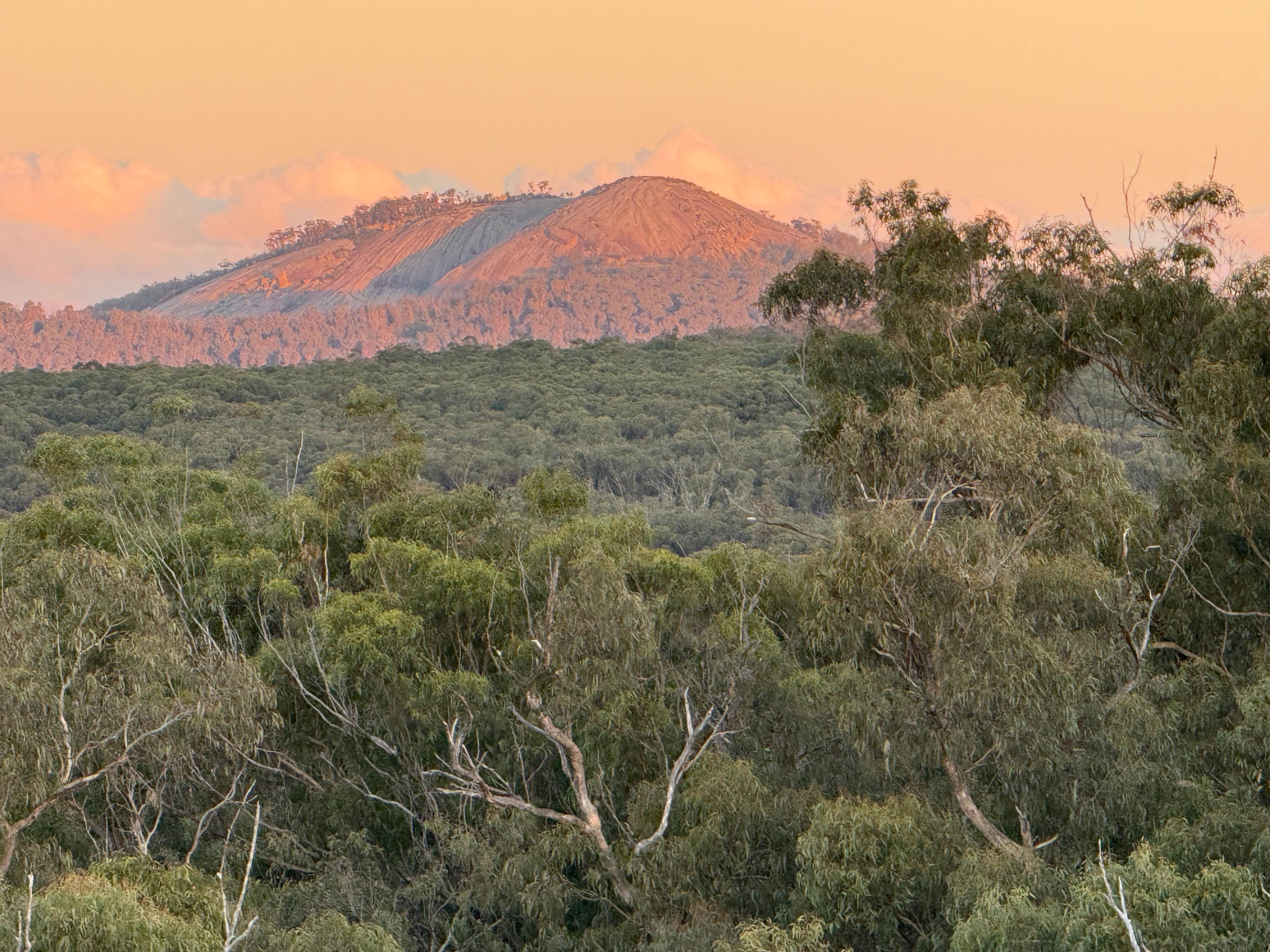 Farrup Bush Camp