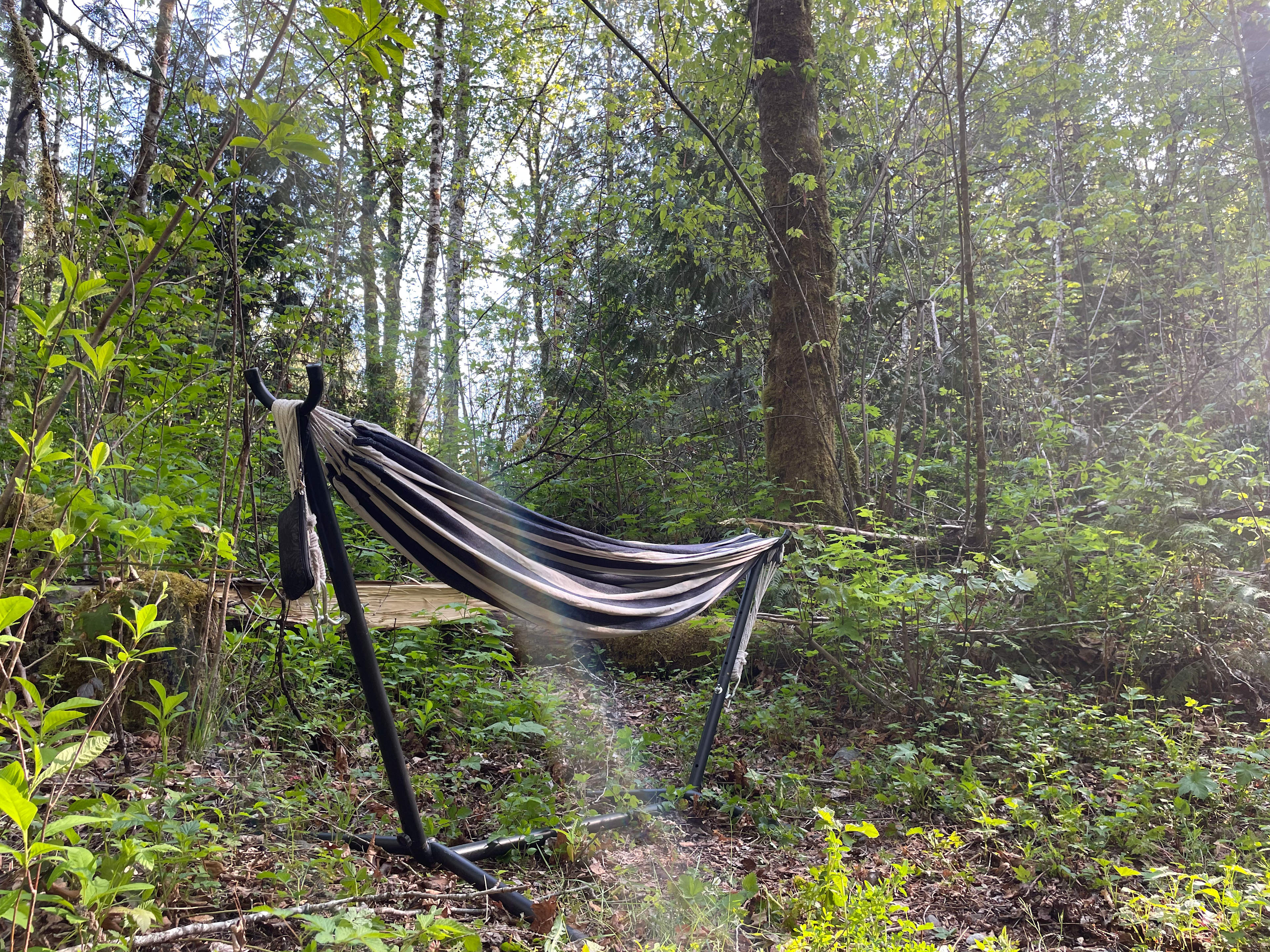 The Pathfinders Sanctuary