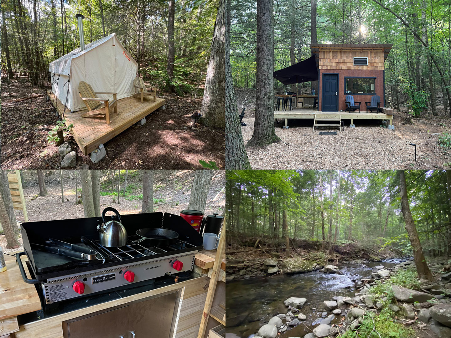 Tiny Cabin on 45 Acres With Stream