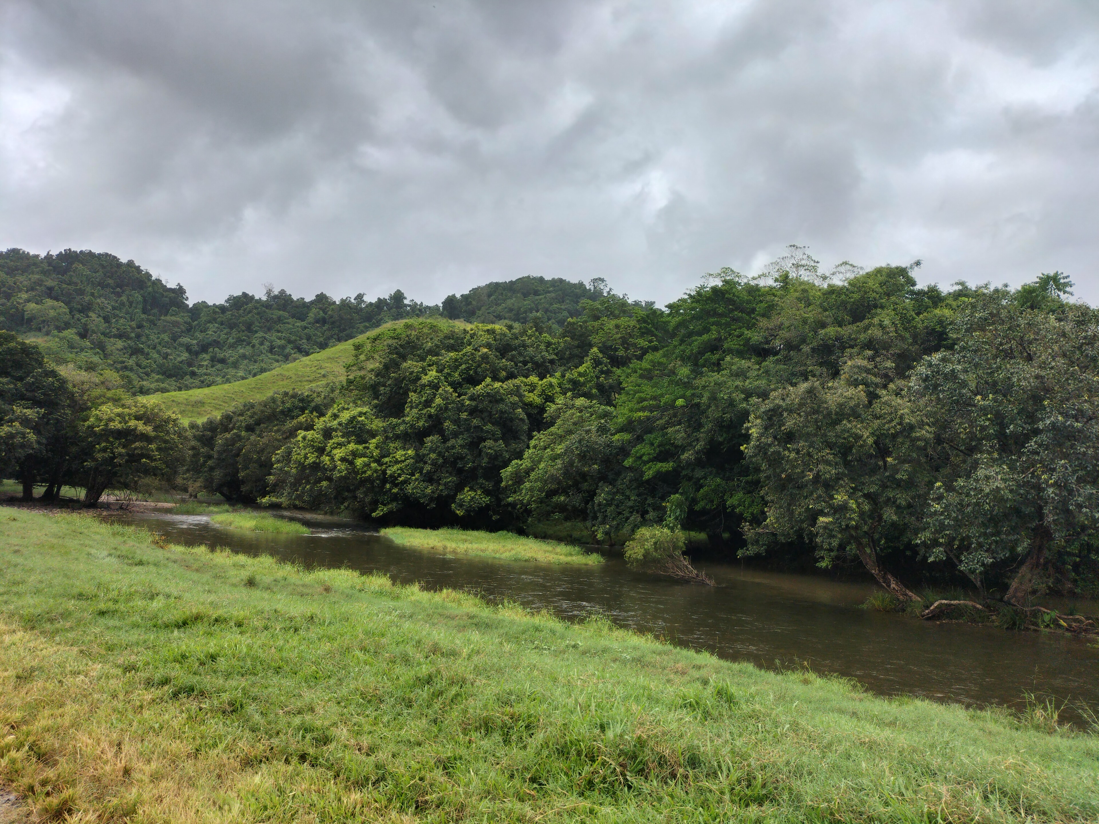 Daintree Riverview