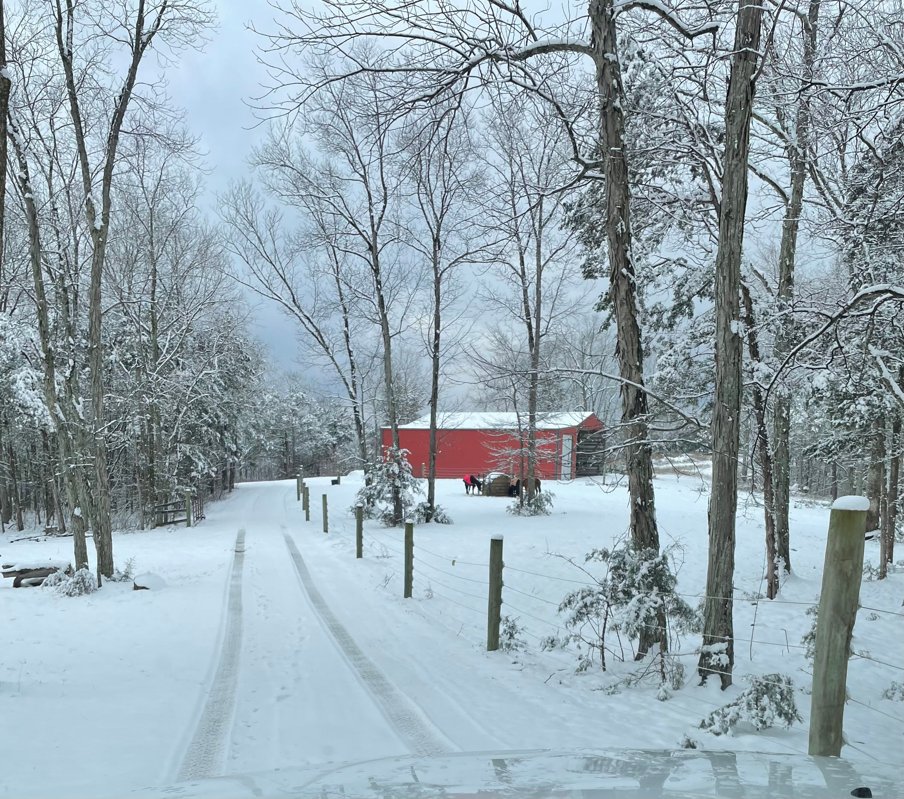 Cedar Hill Ranch