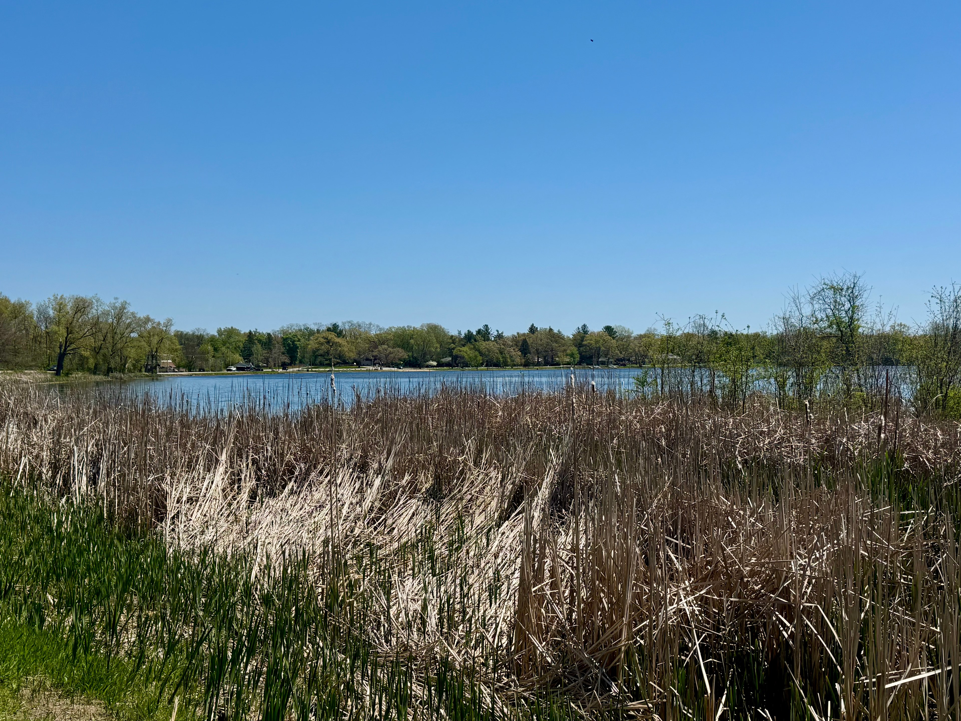 Lake across the road from site.