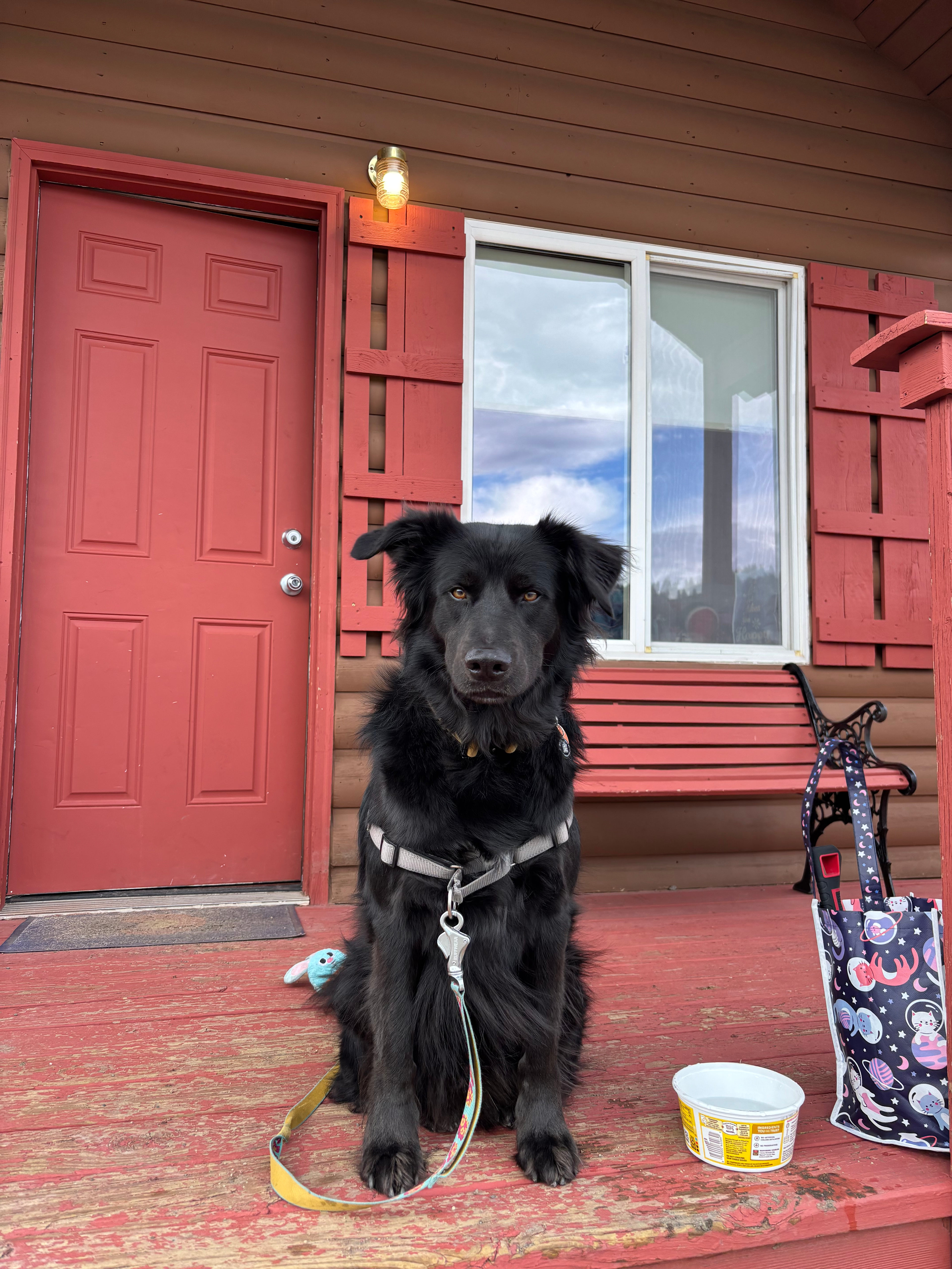 Tomichi Creek Trading Post