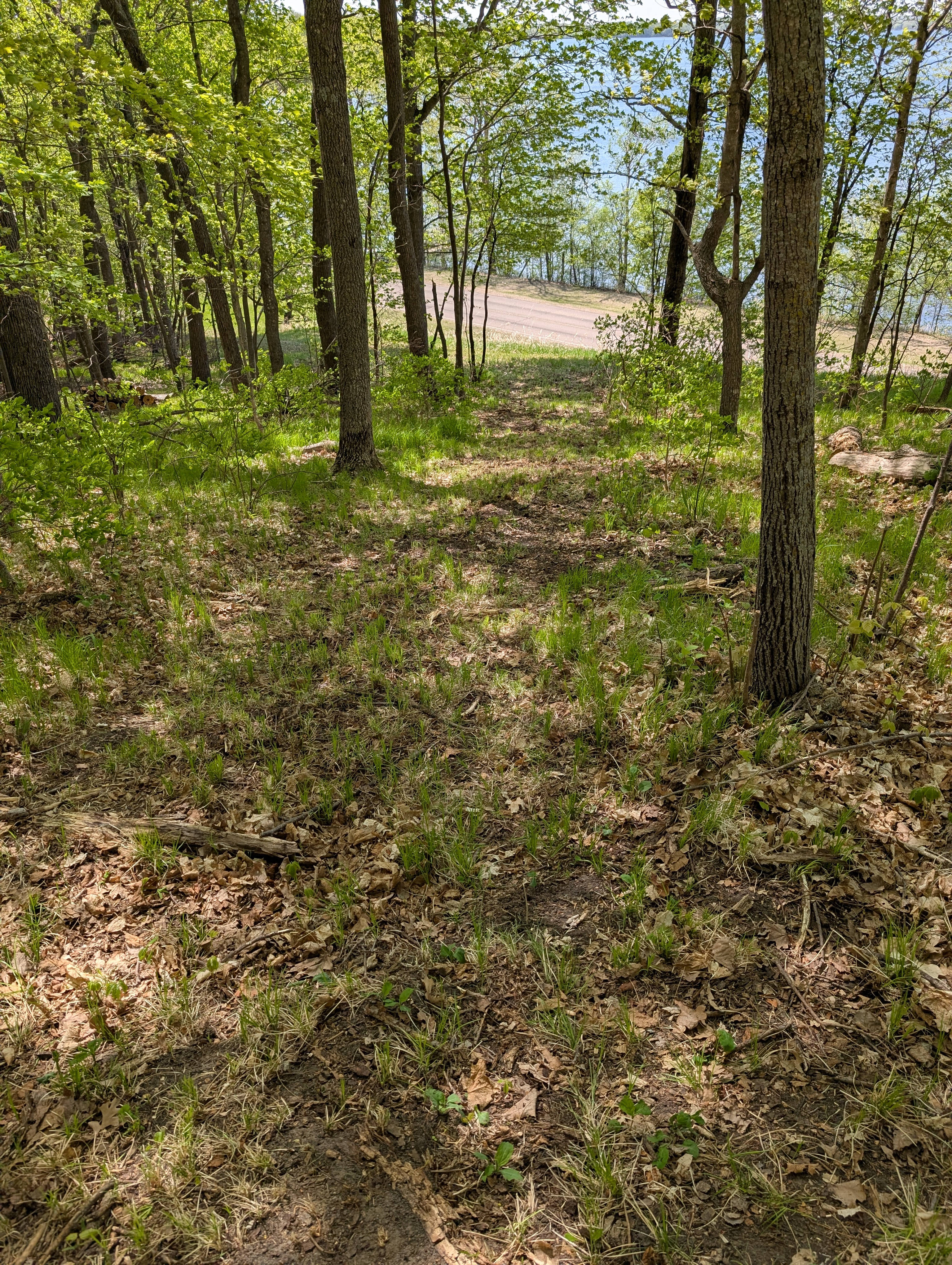 Trail going down to parking area from campsite.