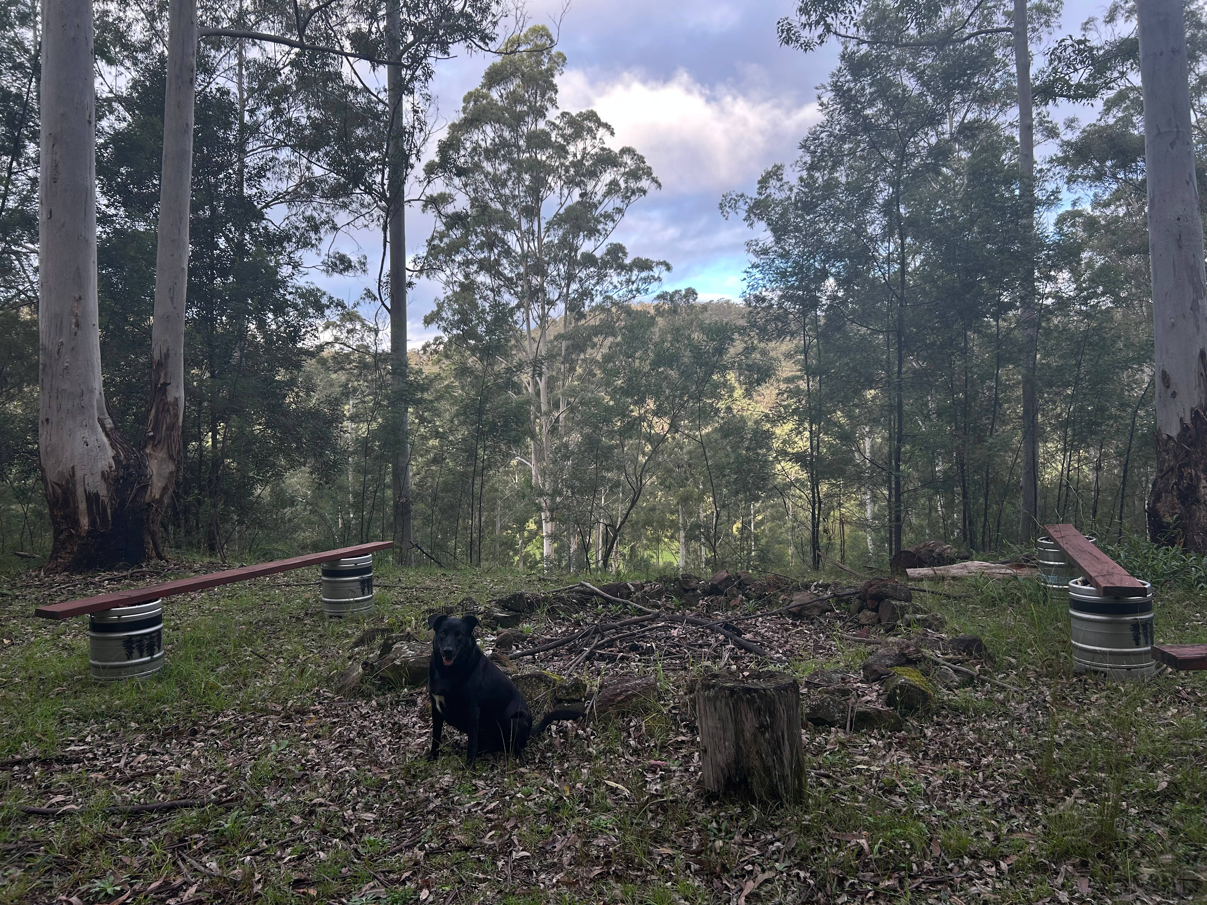 Tanglewood Bush Camp - Putty NSW
