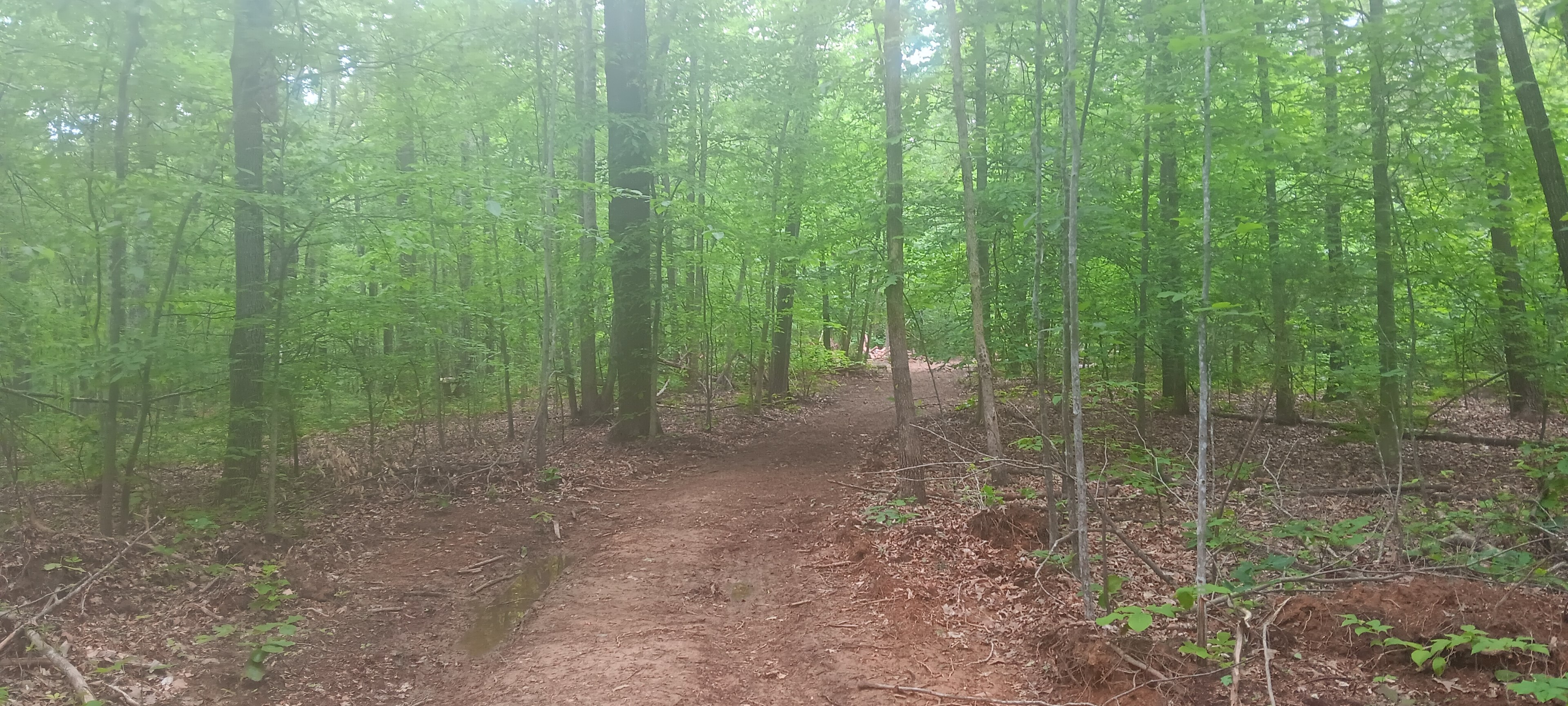 Along the road you will travel going to campsite that's up ahead on left in this picture