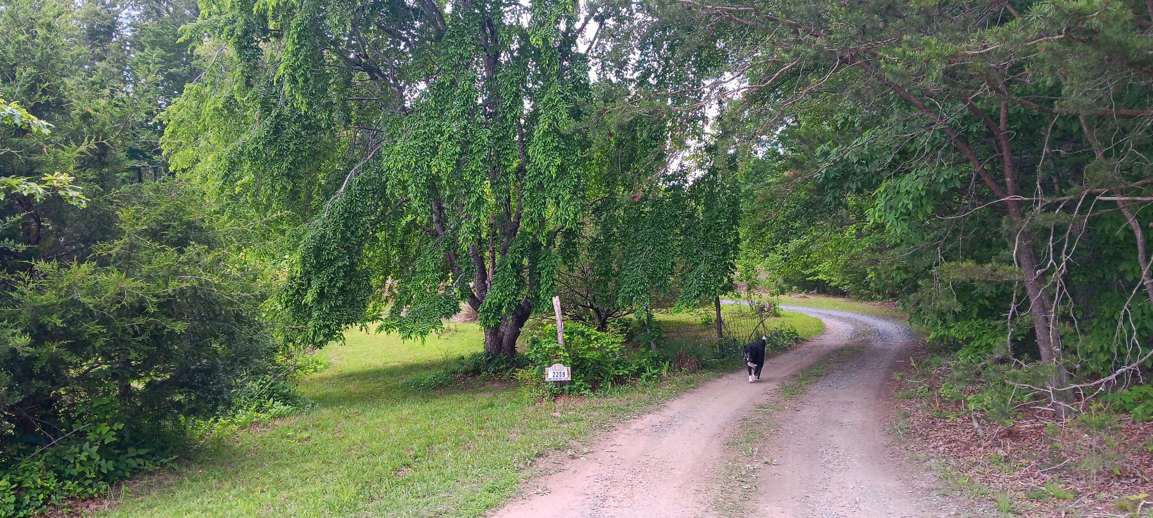 Turn off Antioch Road onto a shared gravel/dirt driveway and go to the end where you see this entrance into our property marked with our address sign.