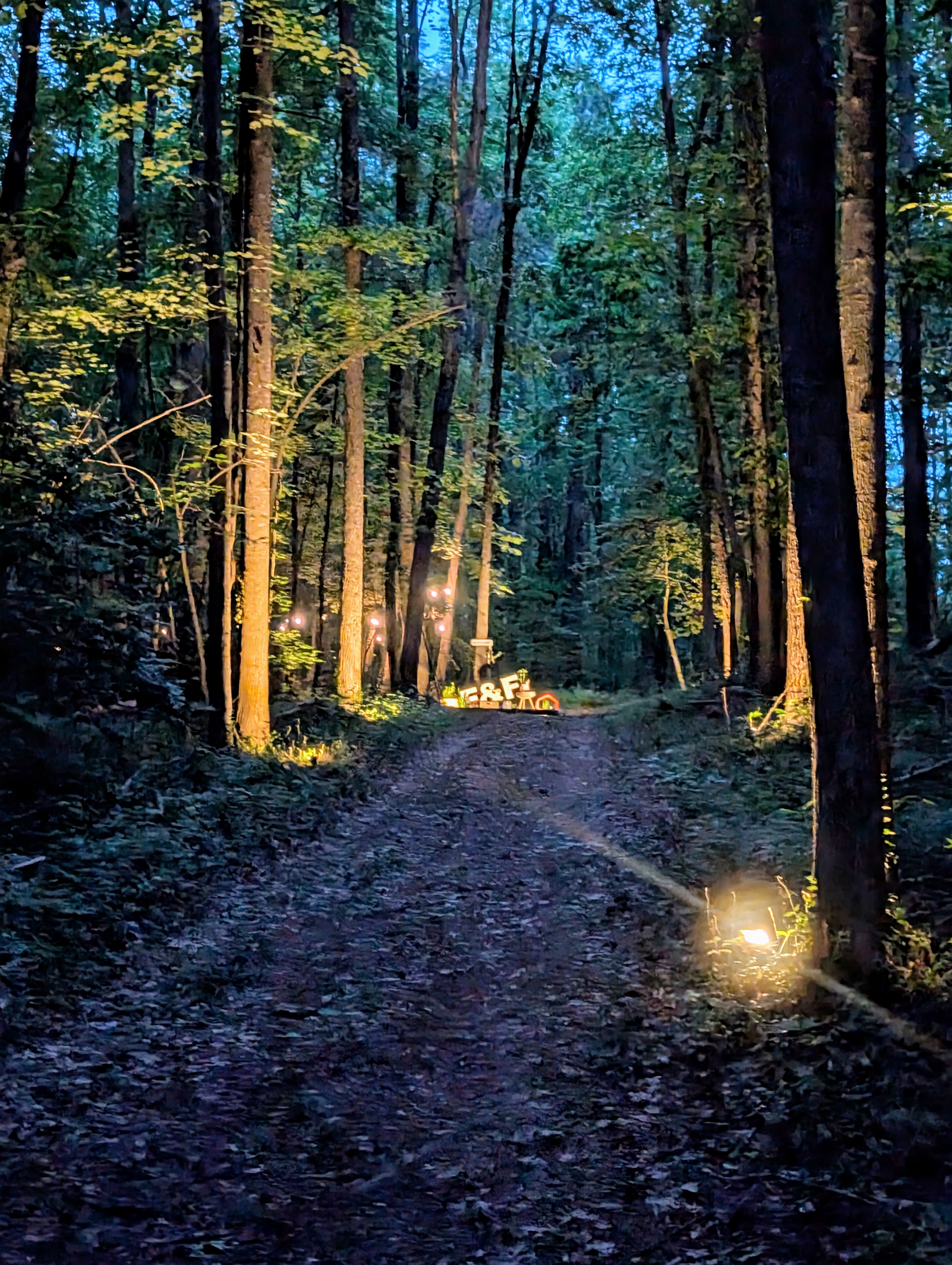 Flower & Fields Farm