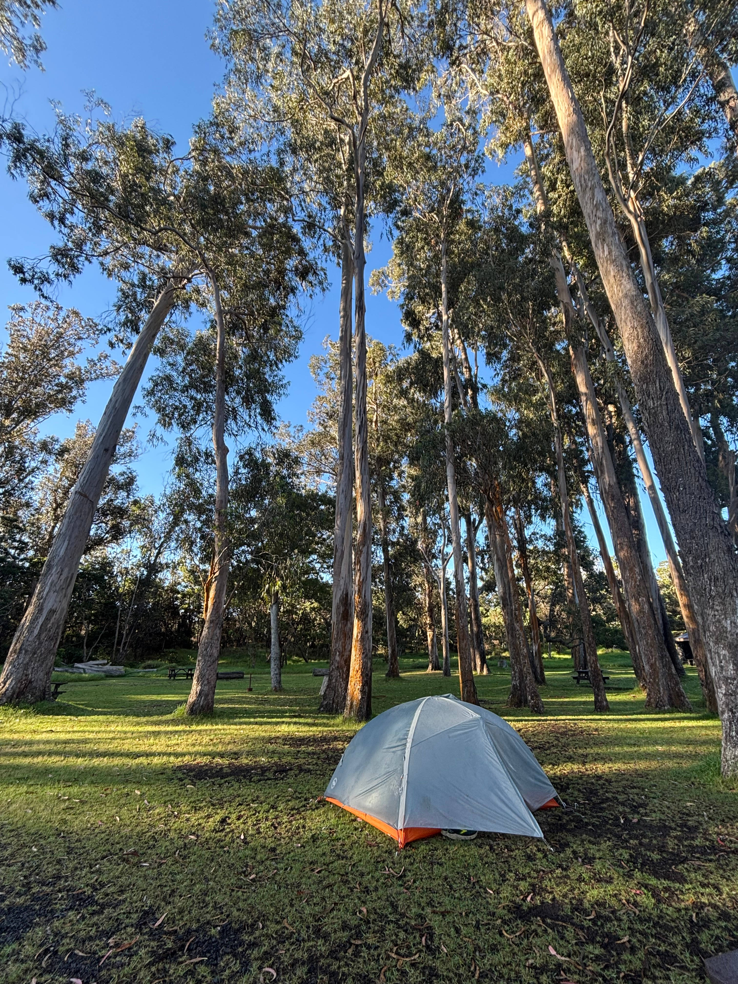 Hawai'i Volcanoes National Park