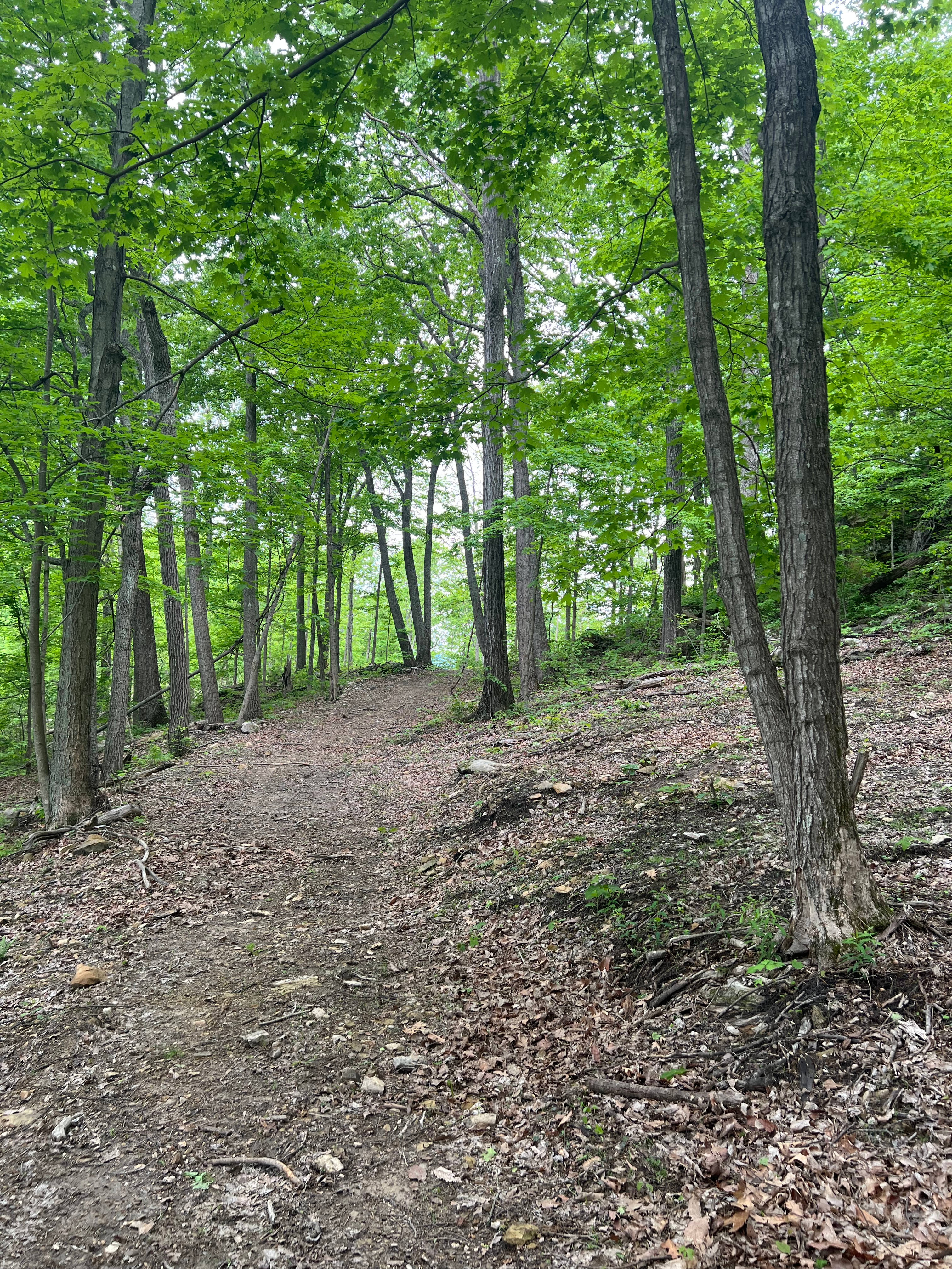 Trail to upper tilting rock 