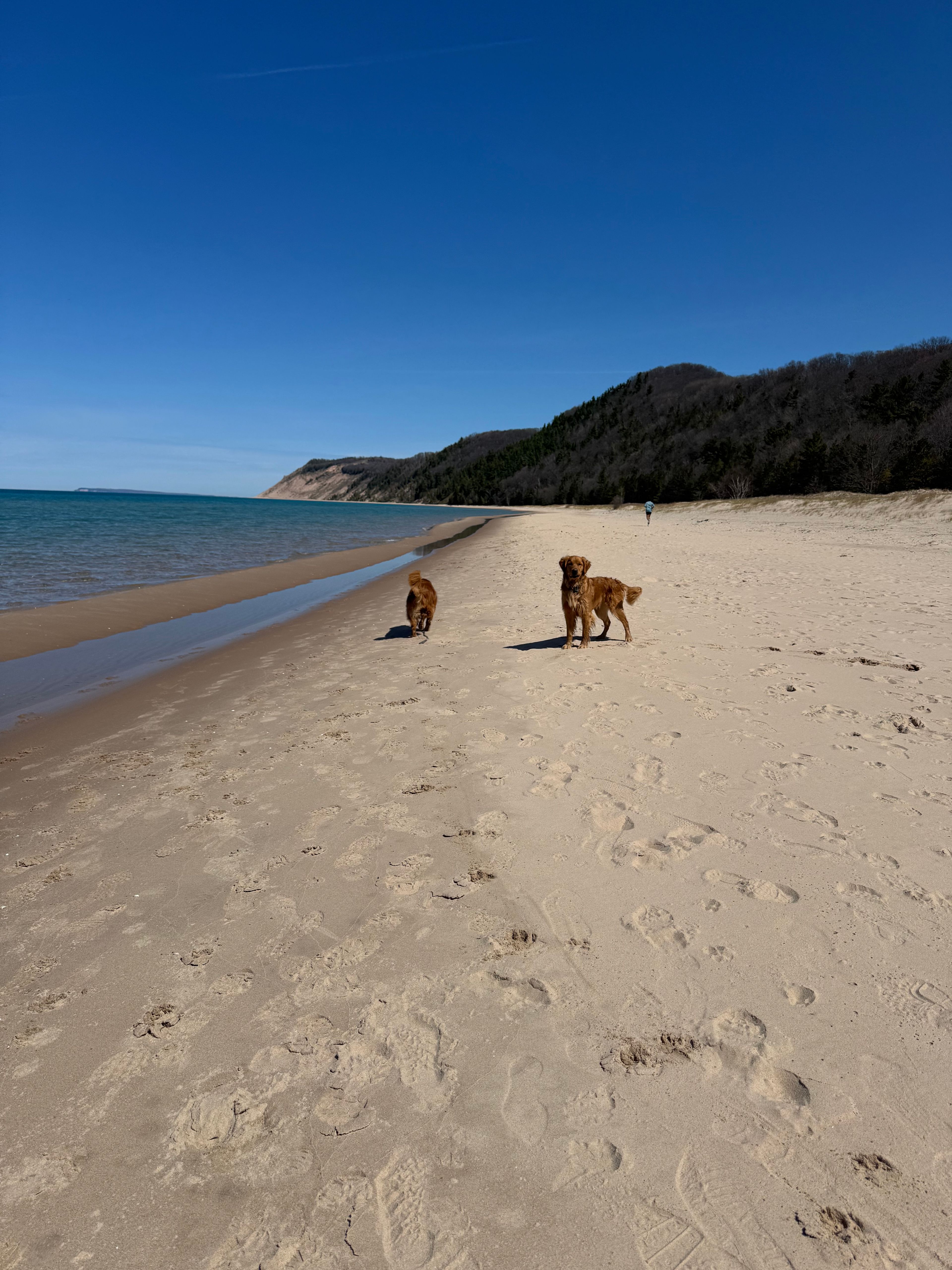 Private Rustic Pines