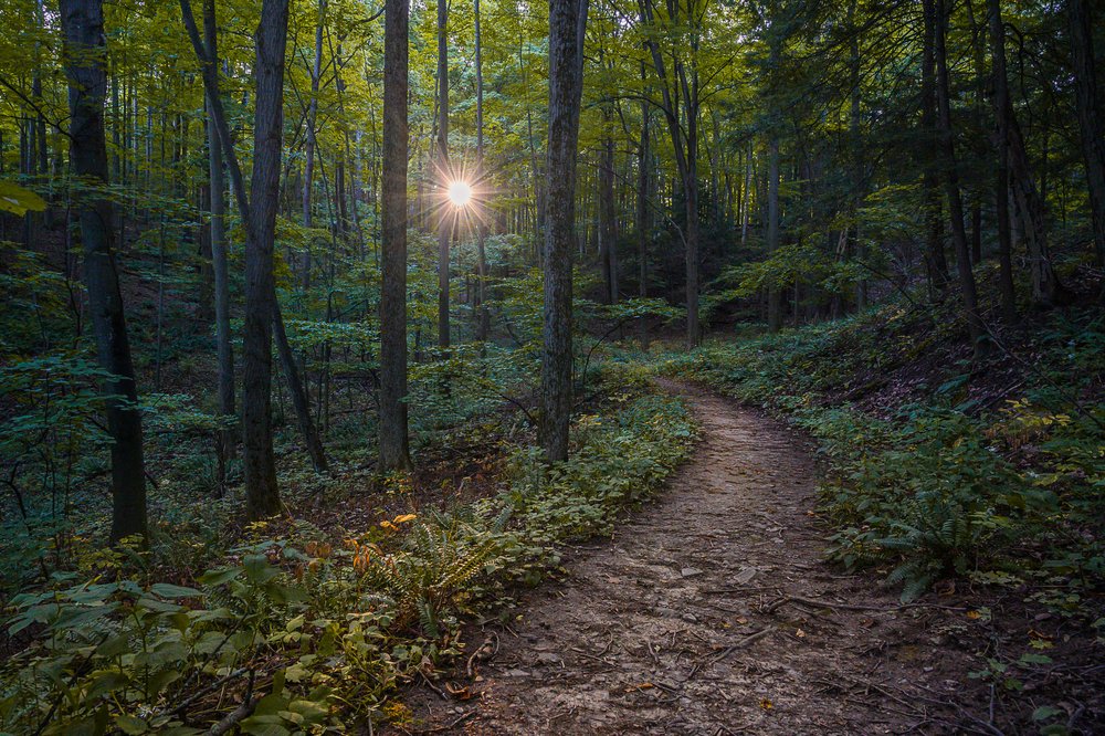 Ithaca by Firelight Camps