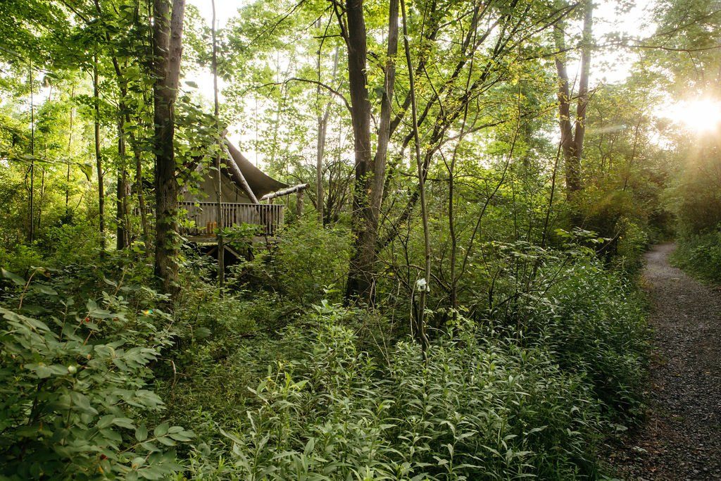 Ithaca by Firelight Camps