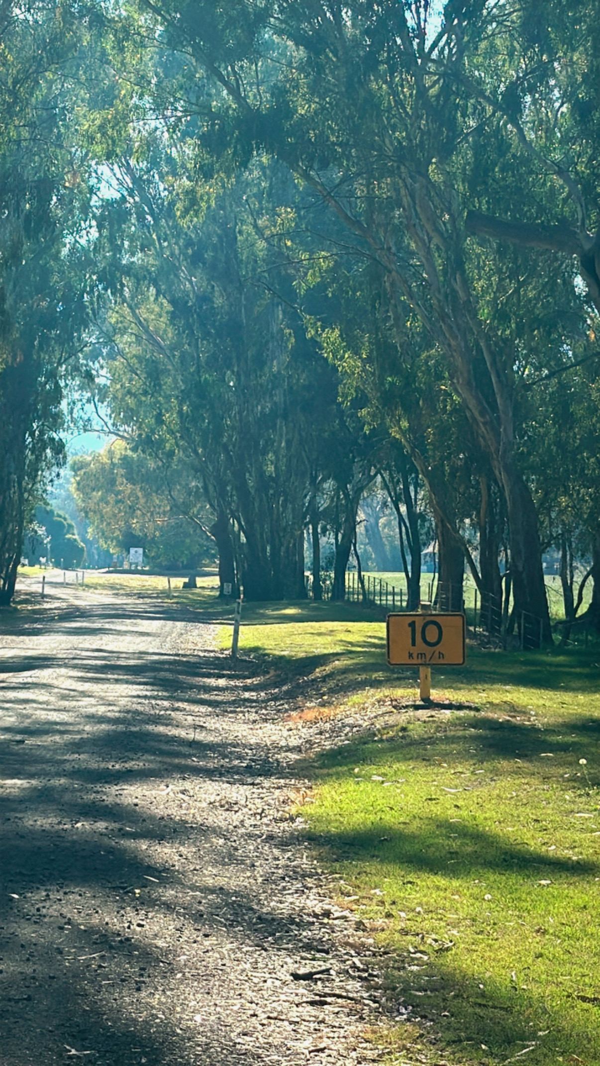 Riverside Goulburn River