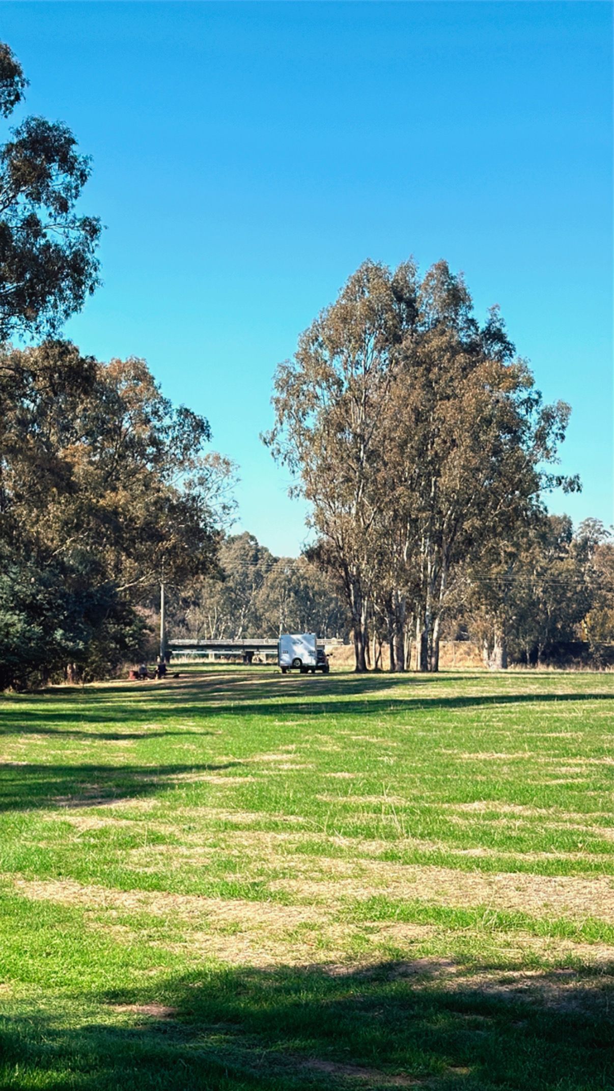 Riverside Goulburn River