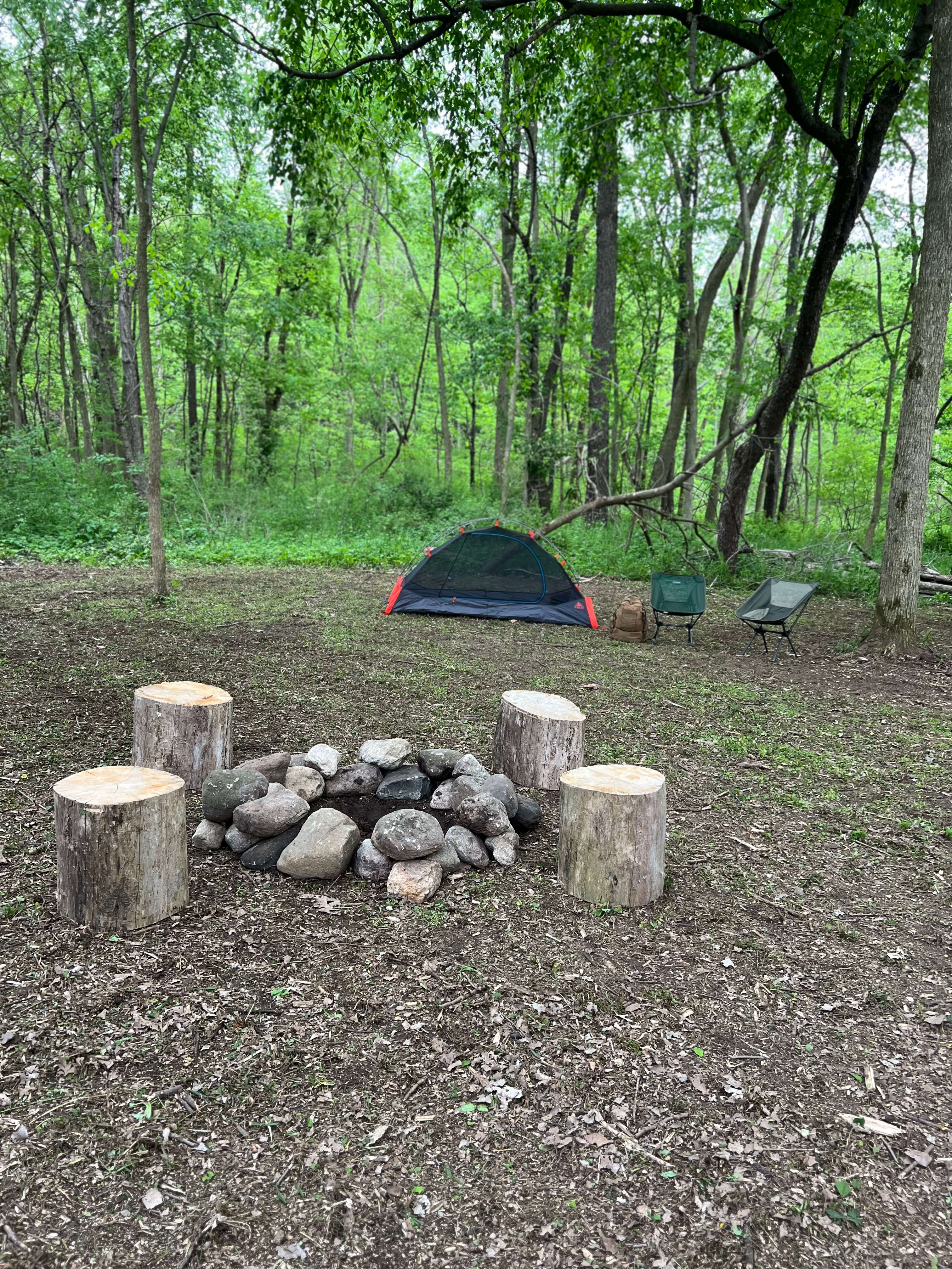 Wrenhaven Woods - Trails & Solitude