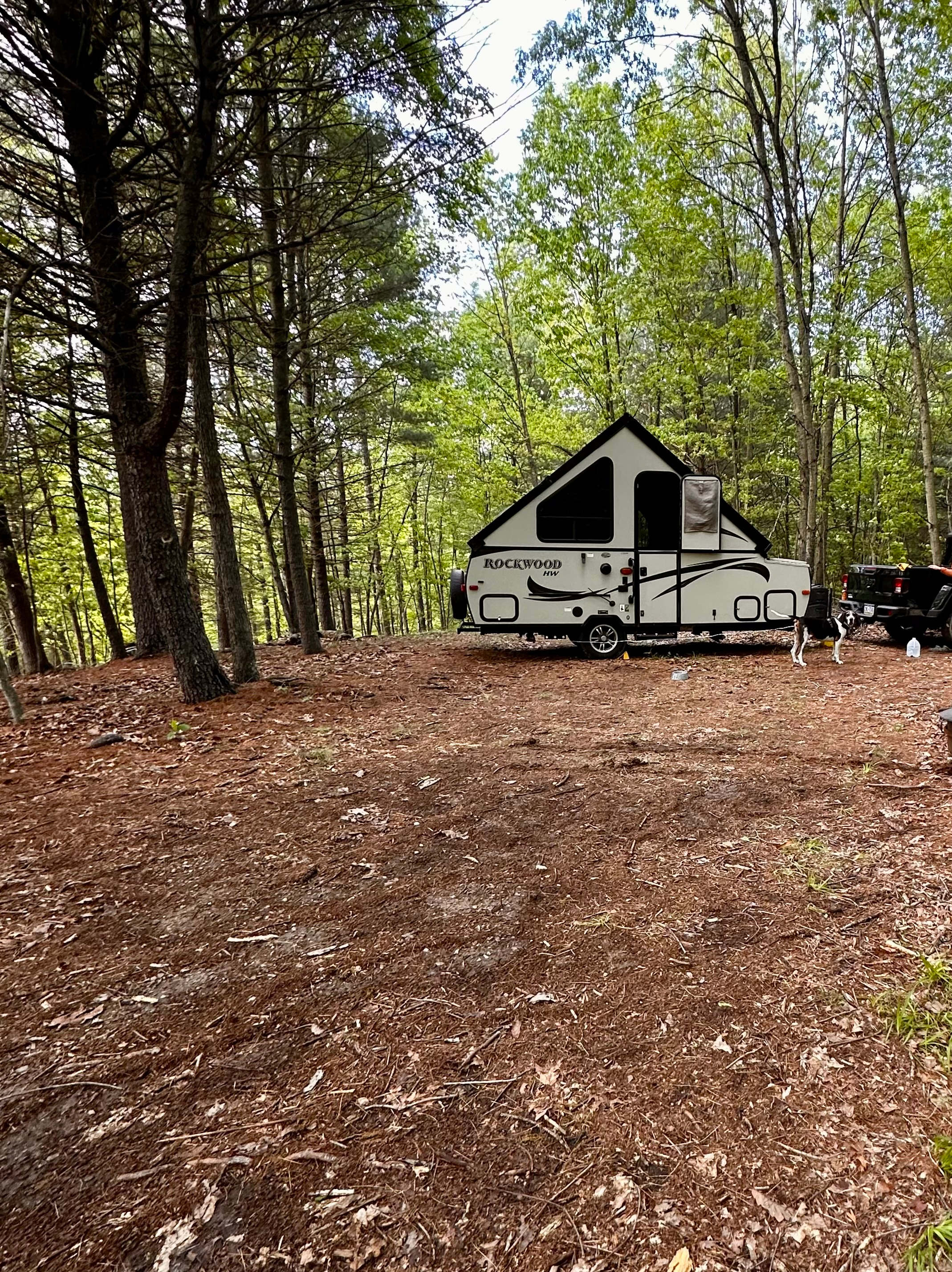 Campsite on upper knoll