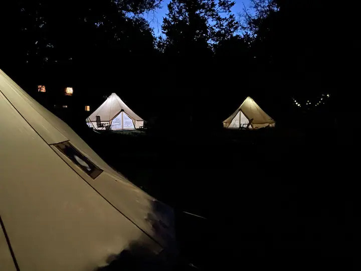 Purradise Springs 🐾 Cat Sanctuary