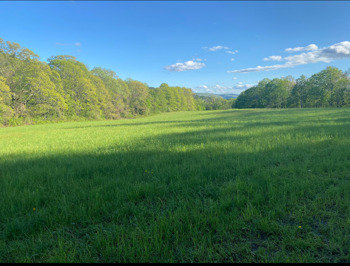 Goodfield Farm Rustic Camping