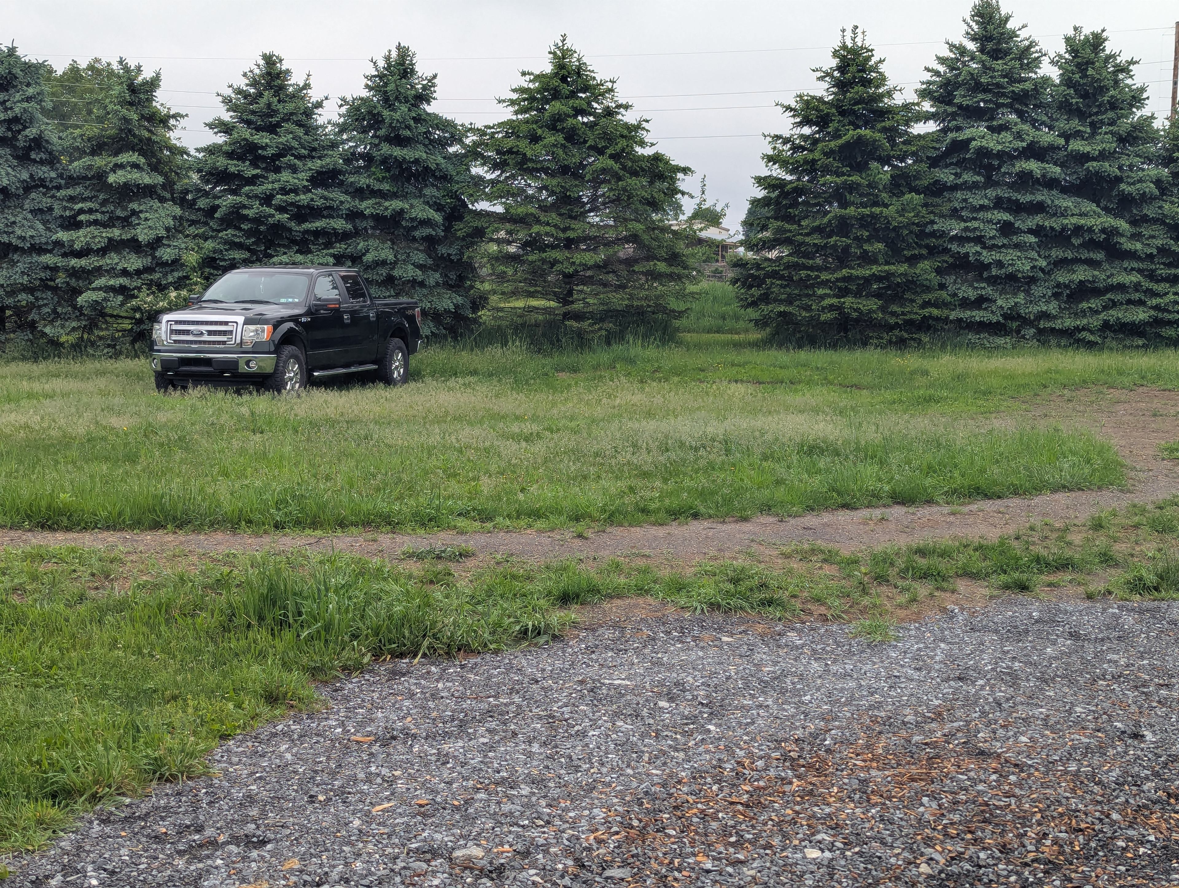 Hickory Hollow Farm And Nursery