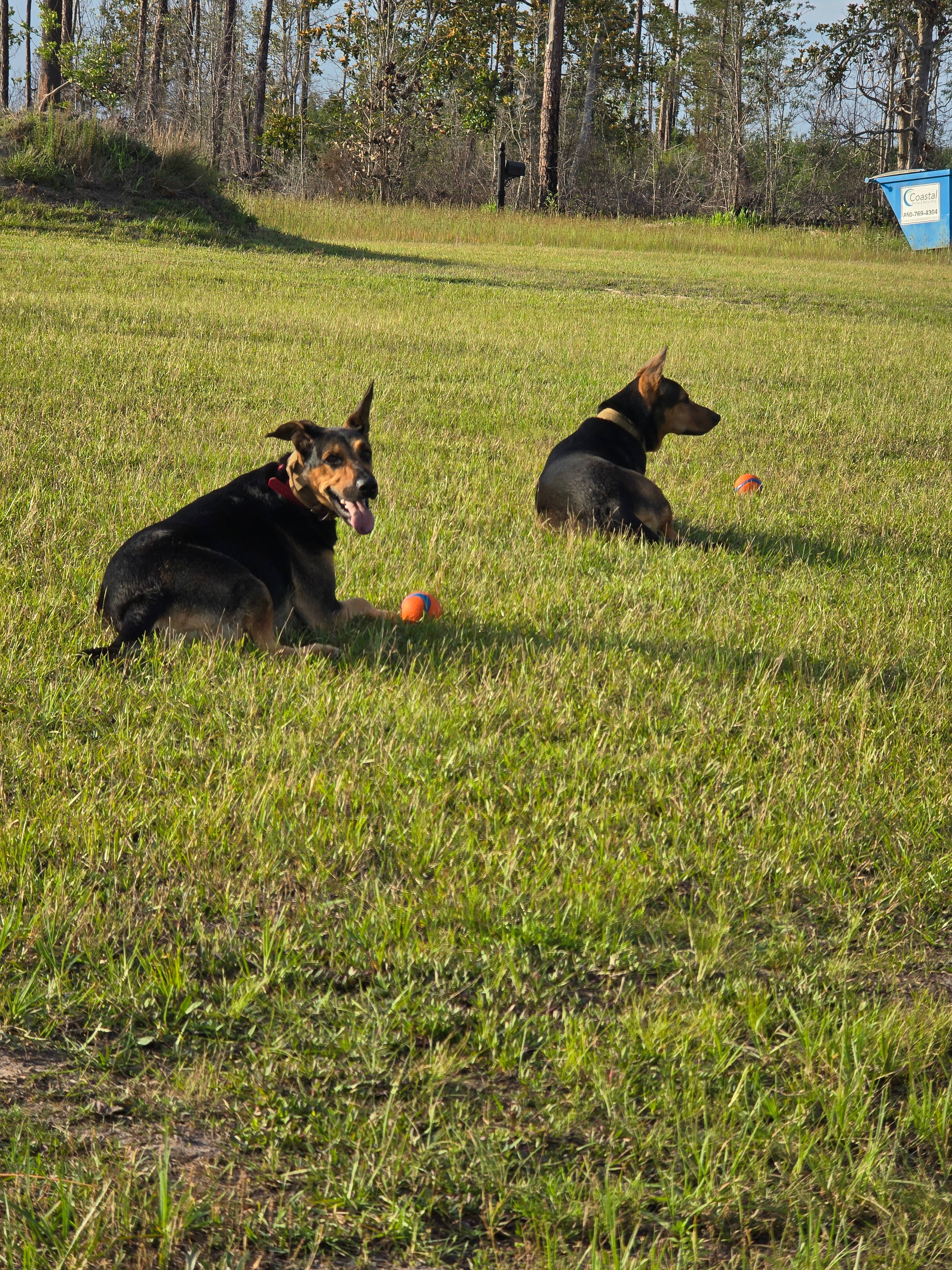 Waterfront Full Hookup Campsite
