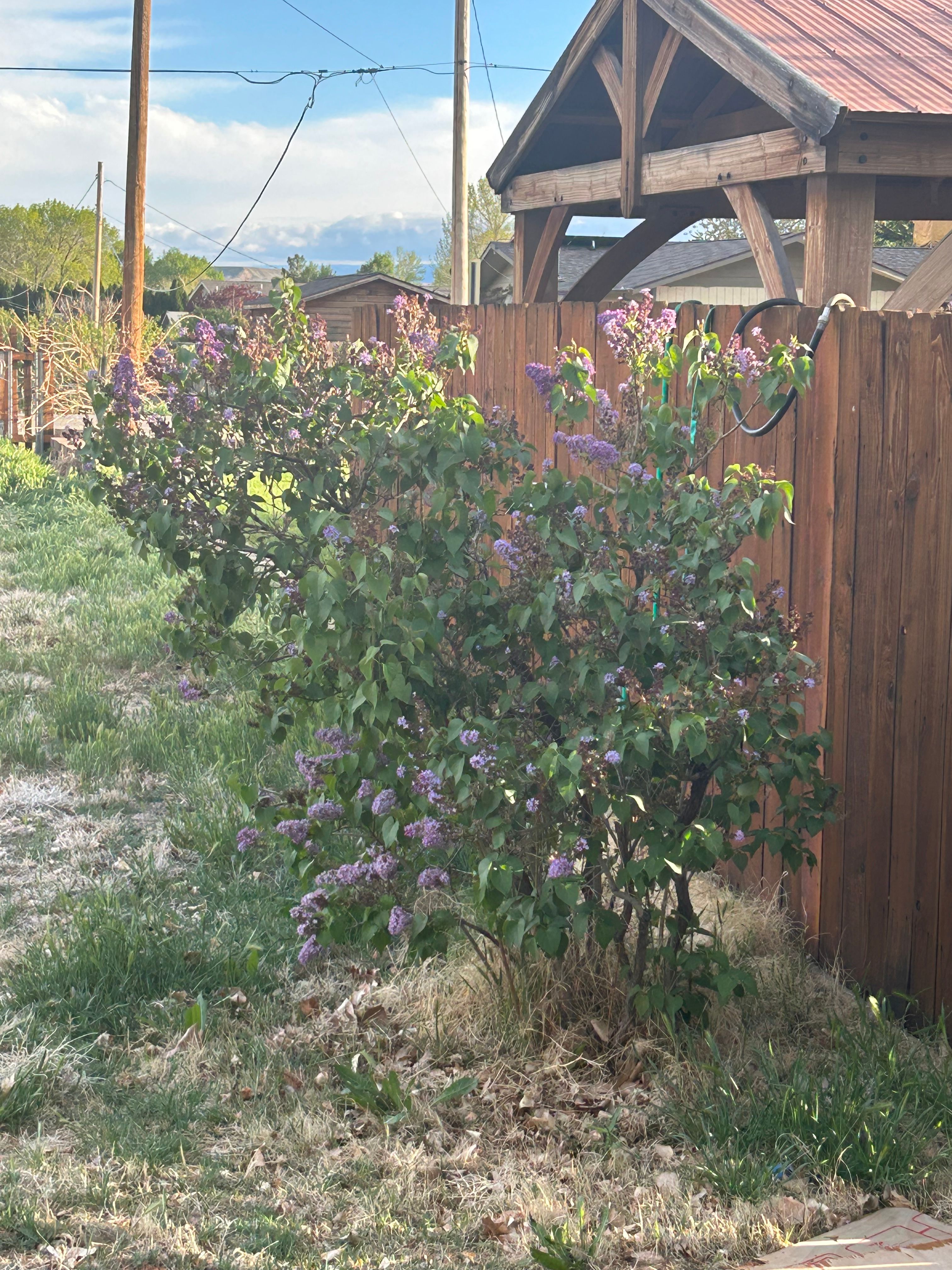 Palisade Field (Private)