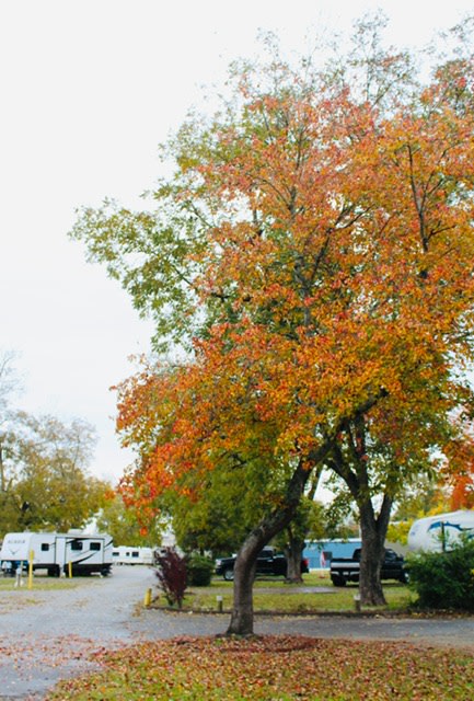 Crossroads Travel Park