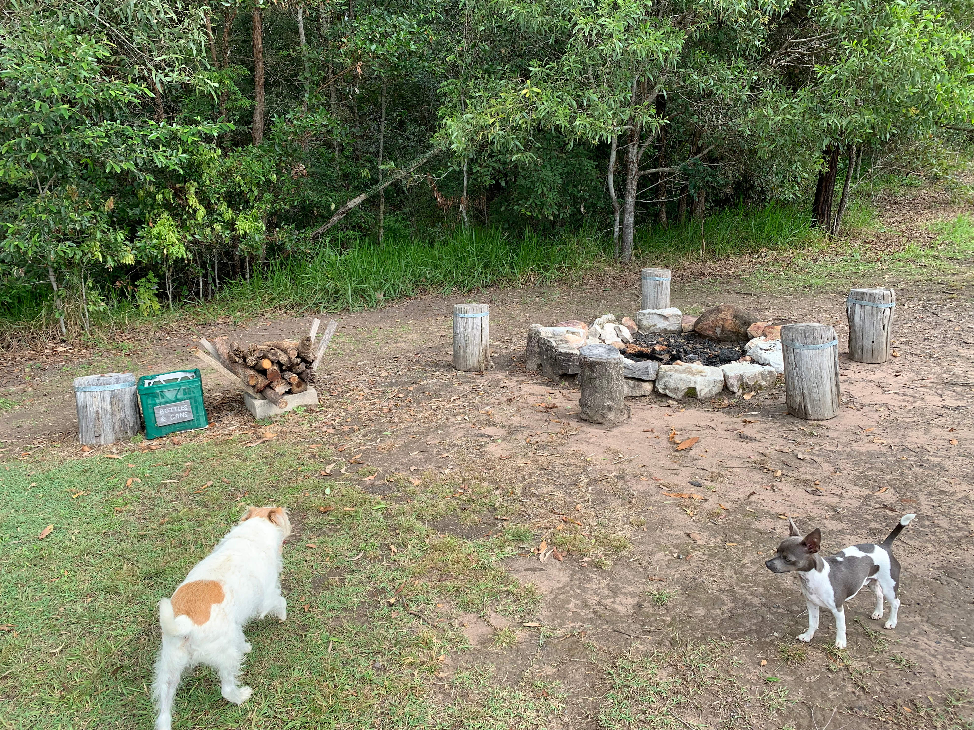 Wolvi Grove Avocado Farm Camping