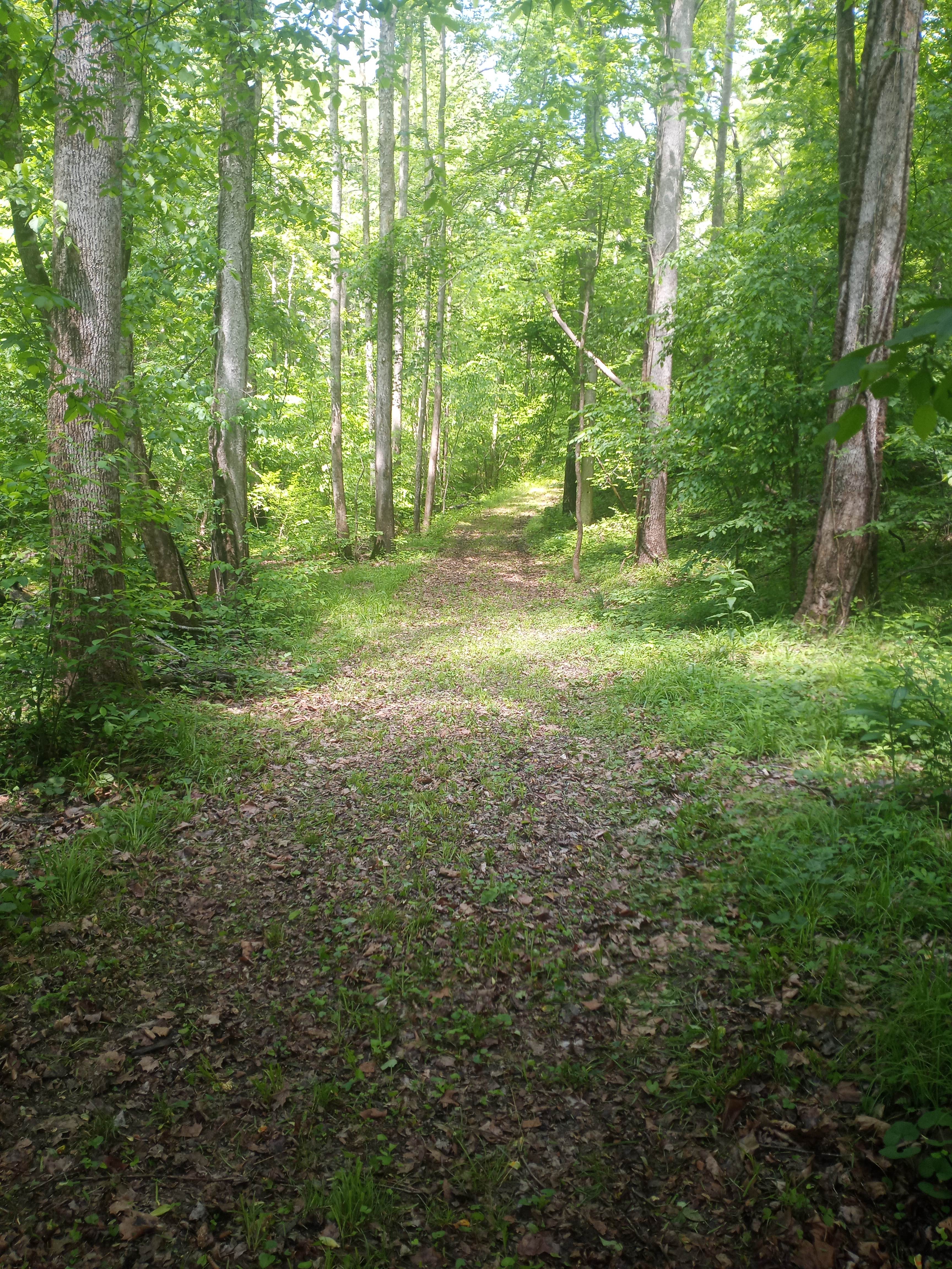 path going into property