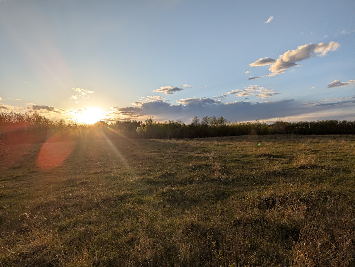 Sterando Acres Glamping