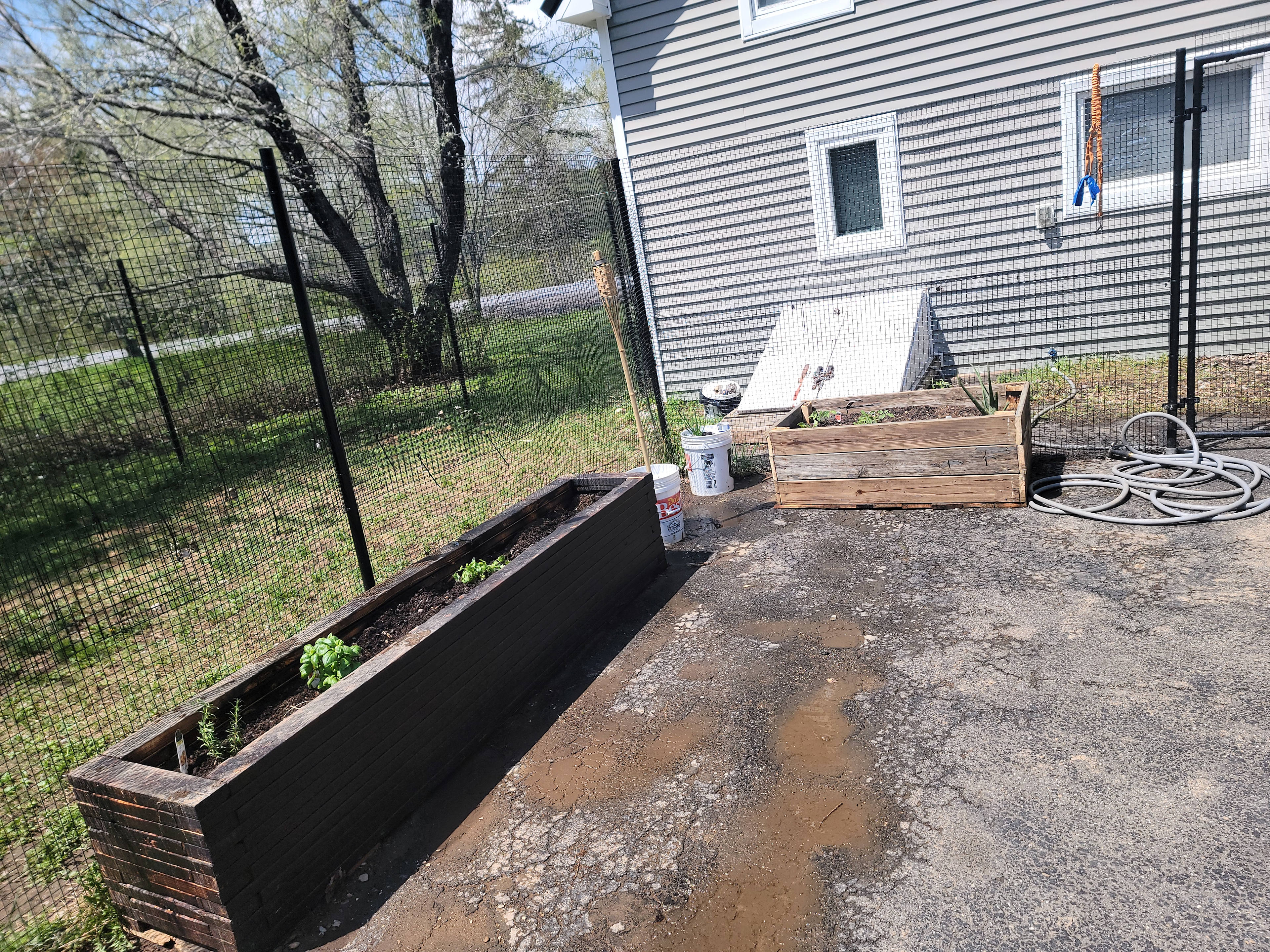 Northern Edge River Escape