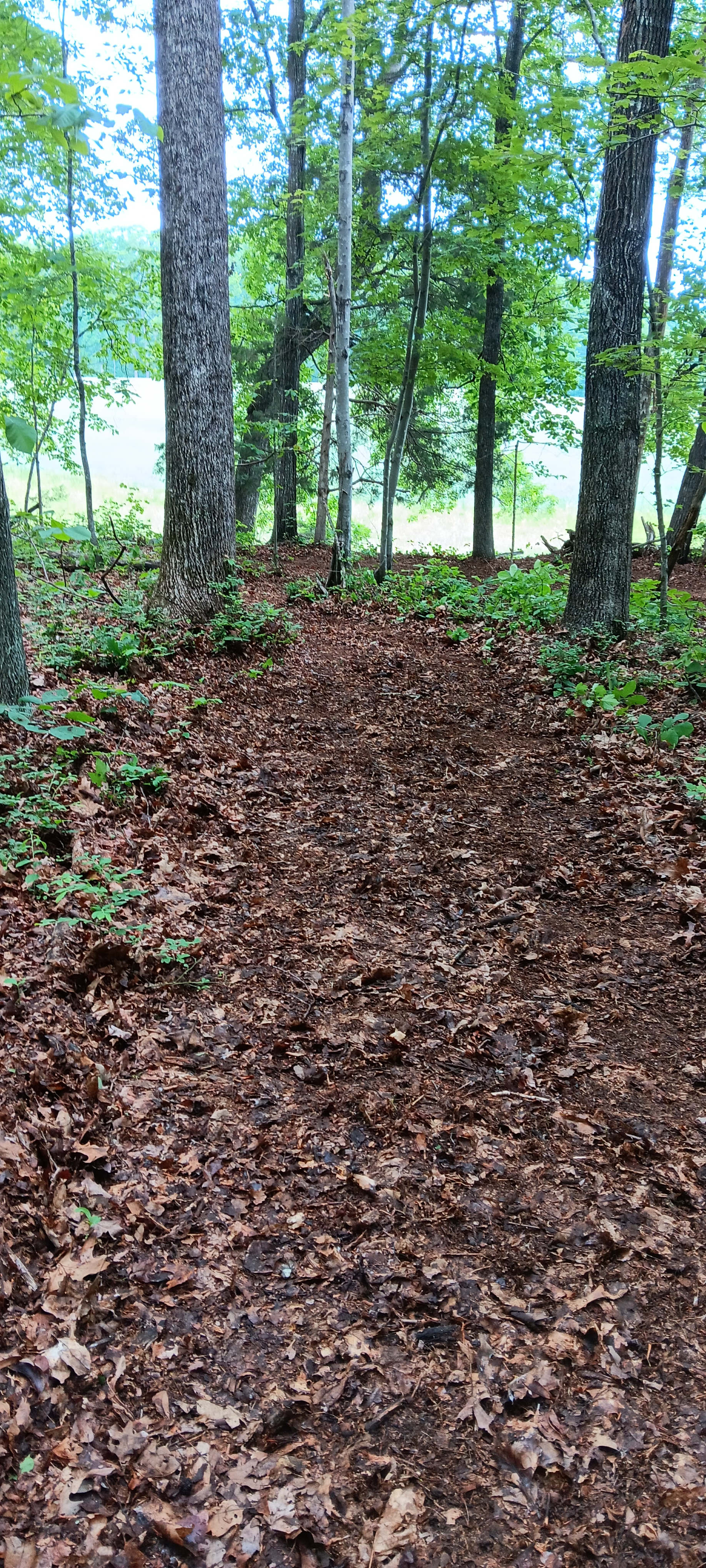 Trail leading from back side of campsite to edge of field for scenic farmland view.